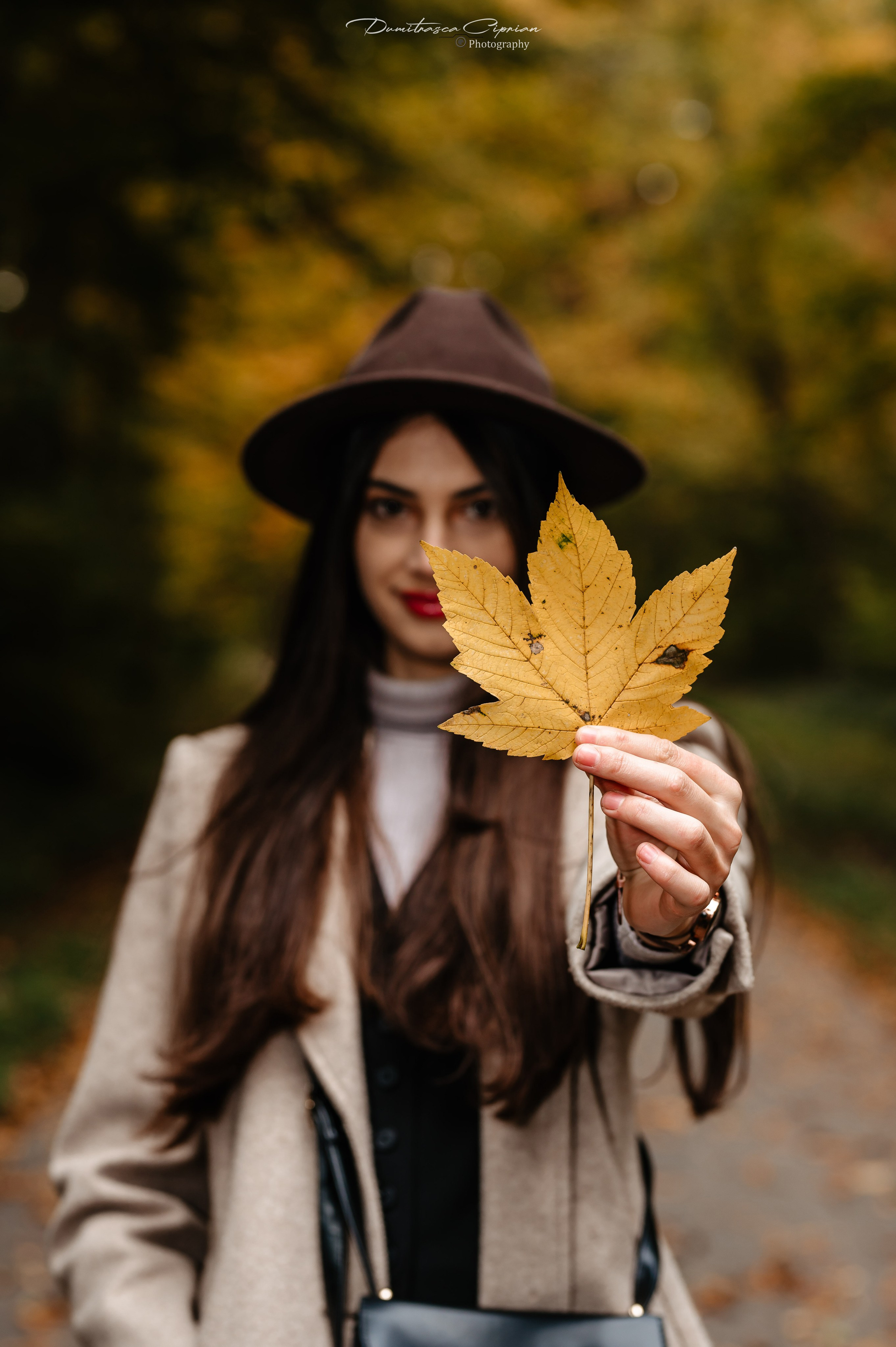 Golden Fall. Dumitrasca Ciprian Photography