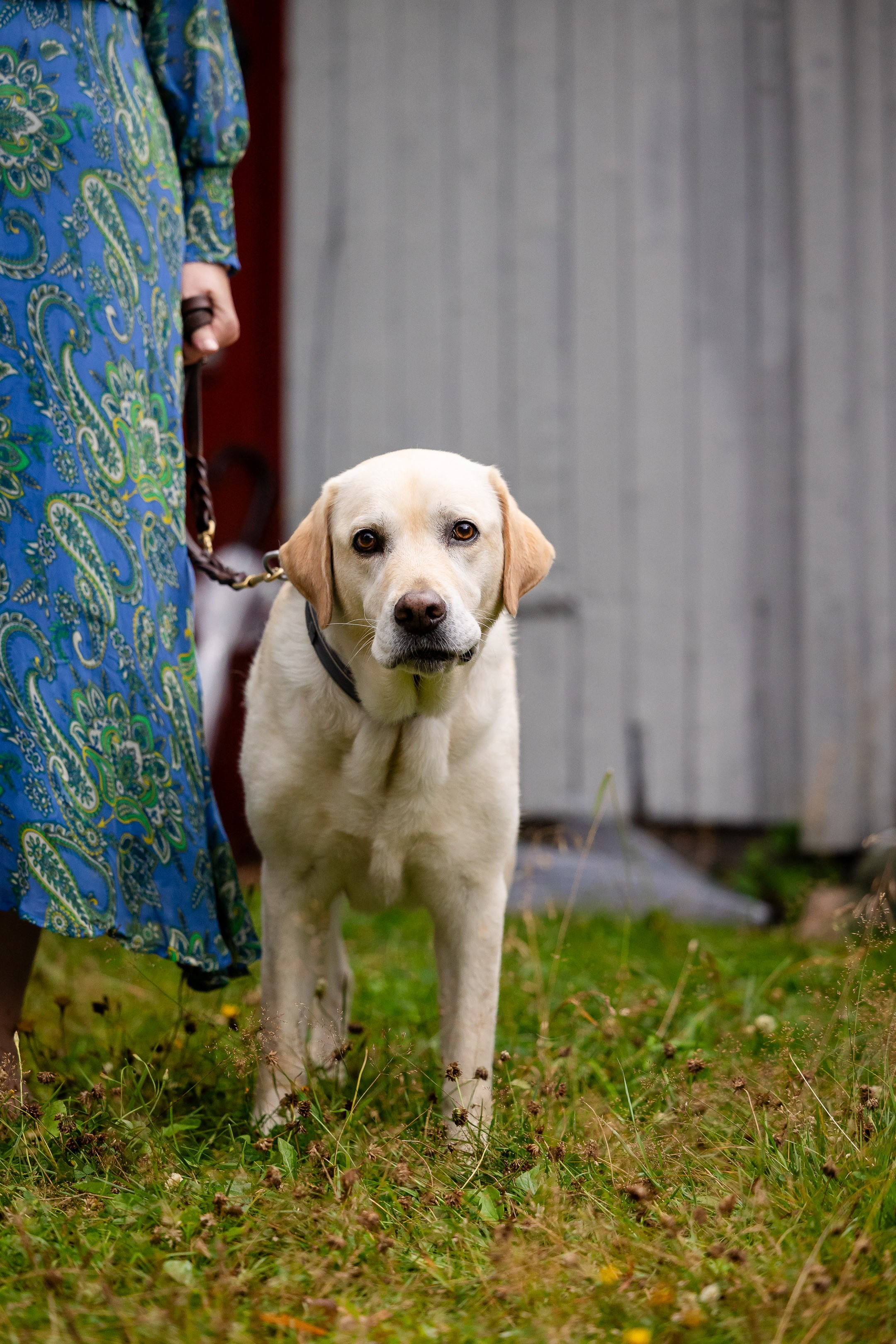 2025 - Vilde & Thomas. Bryllupsfotograf i Oslo og Rogaland — Meisal Media