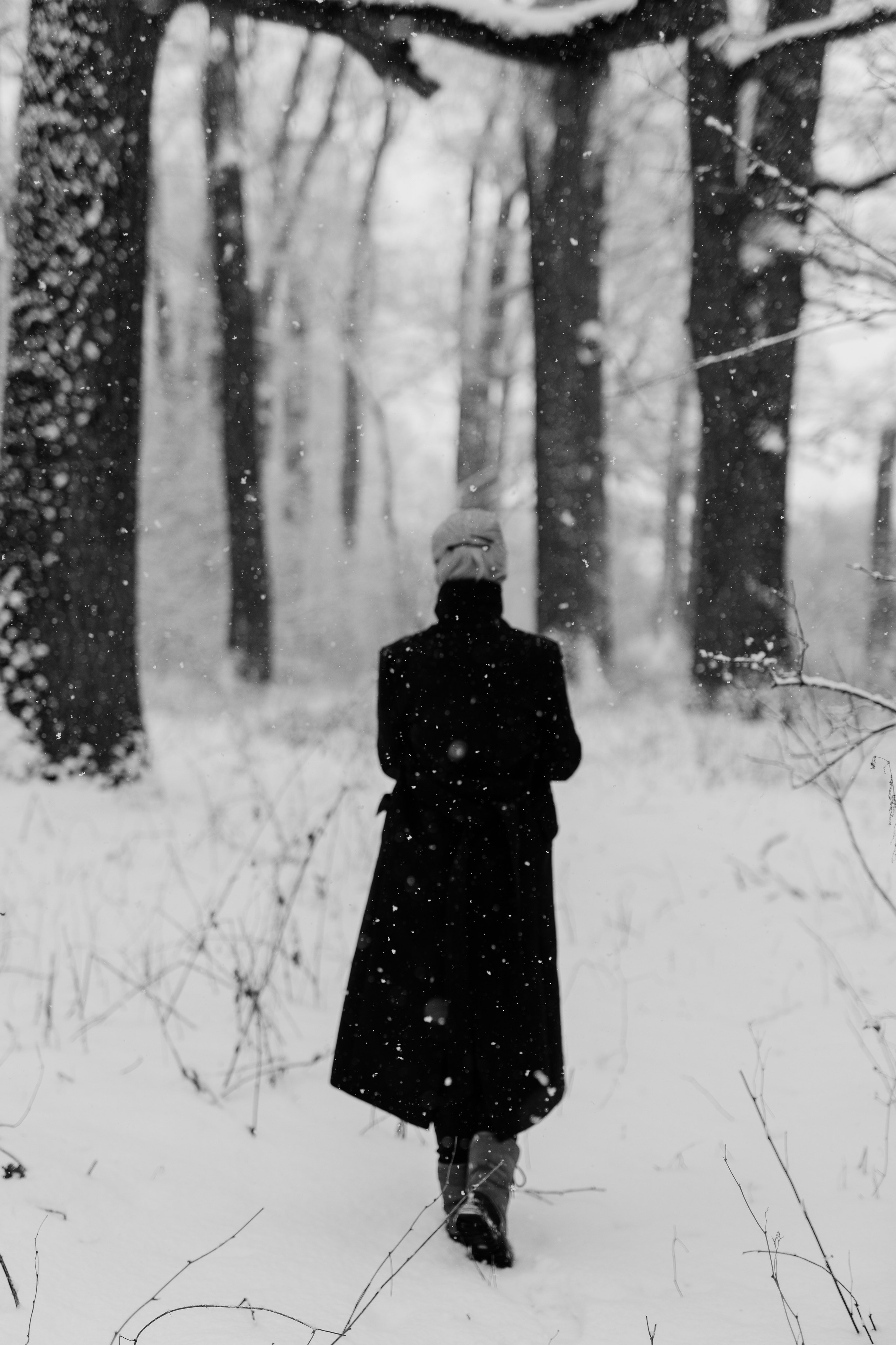 Teo — Portrait. Main