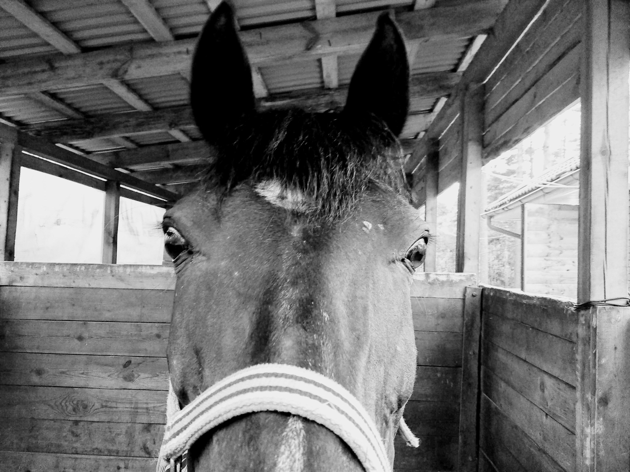 MOBILE PHOTO. UNRATED PHOTO