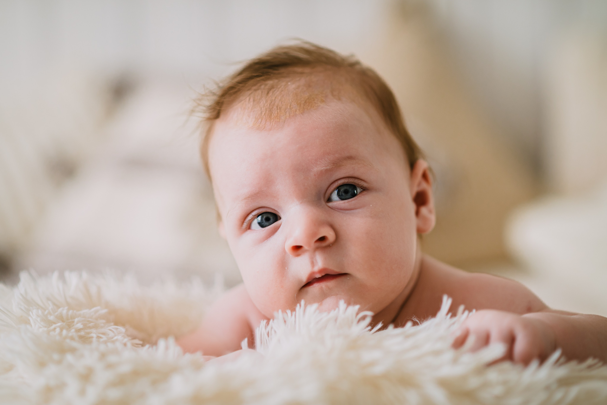 Alexandru. Giani Maftei