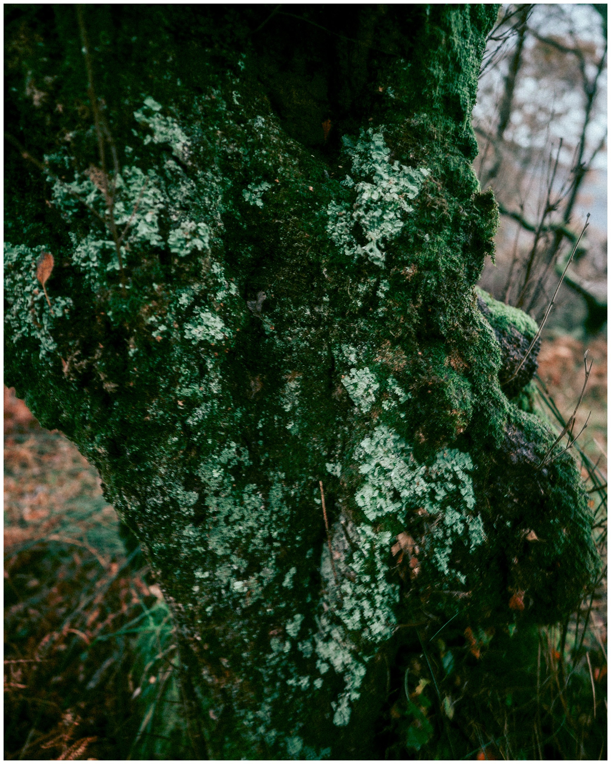 IRELAND. Inna Mendelson — Photographer