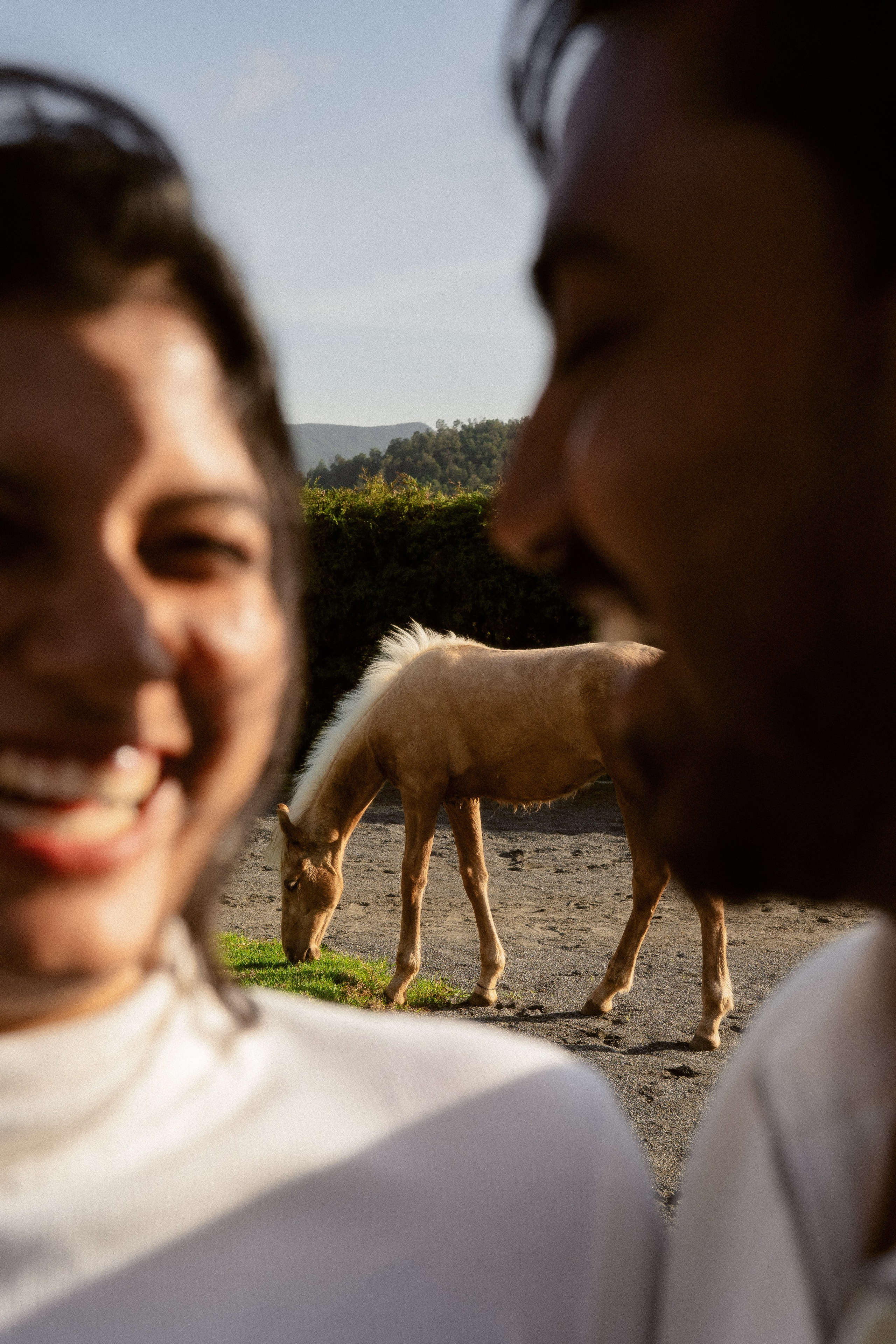 DHARAN & SRUTHY. Wedding photographer Avira Stories