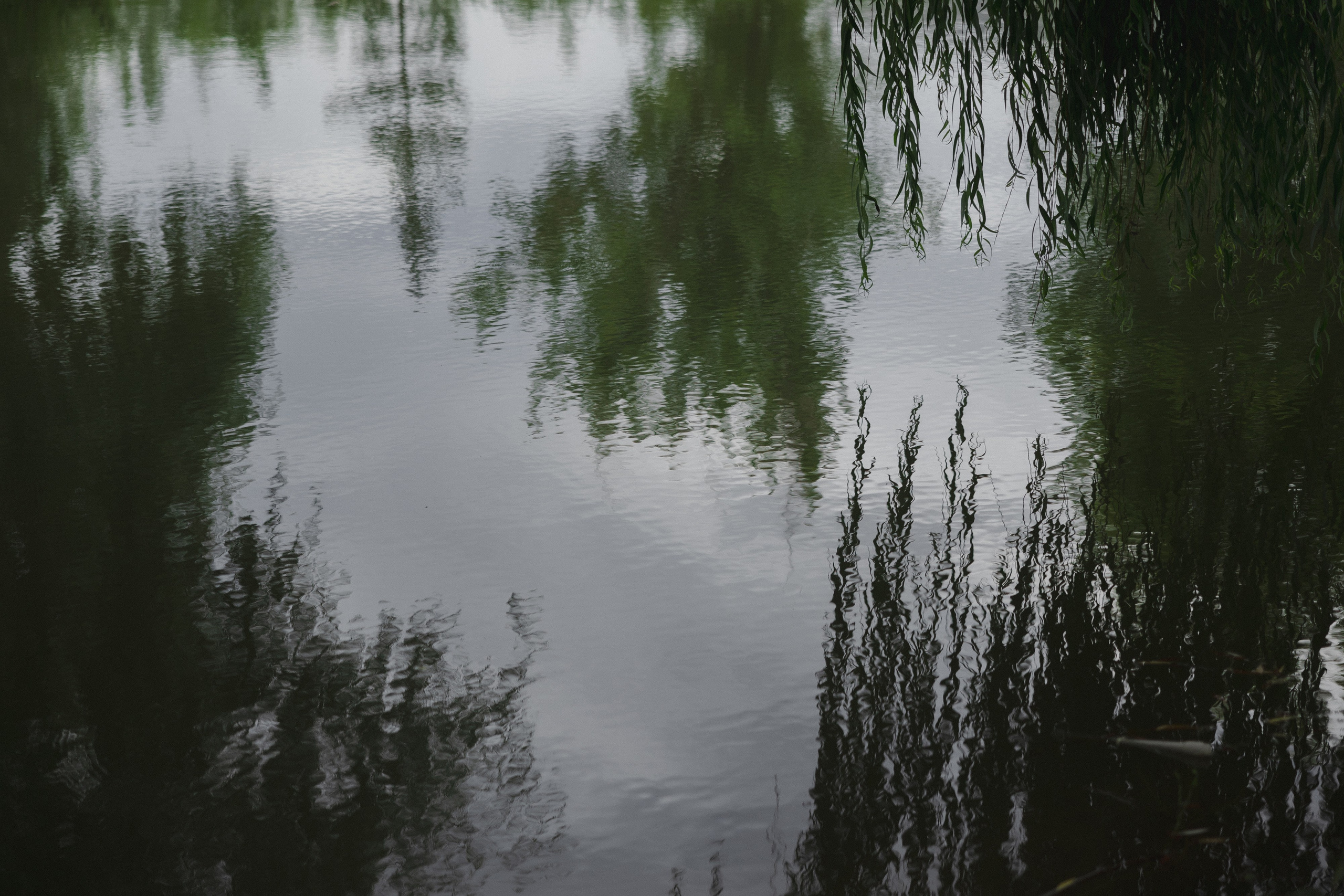 Азиз и Рано. Азимжан Нуритдинходжаев — свадебный фотограф