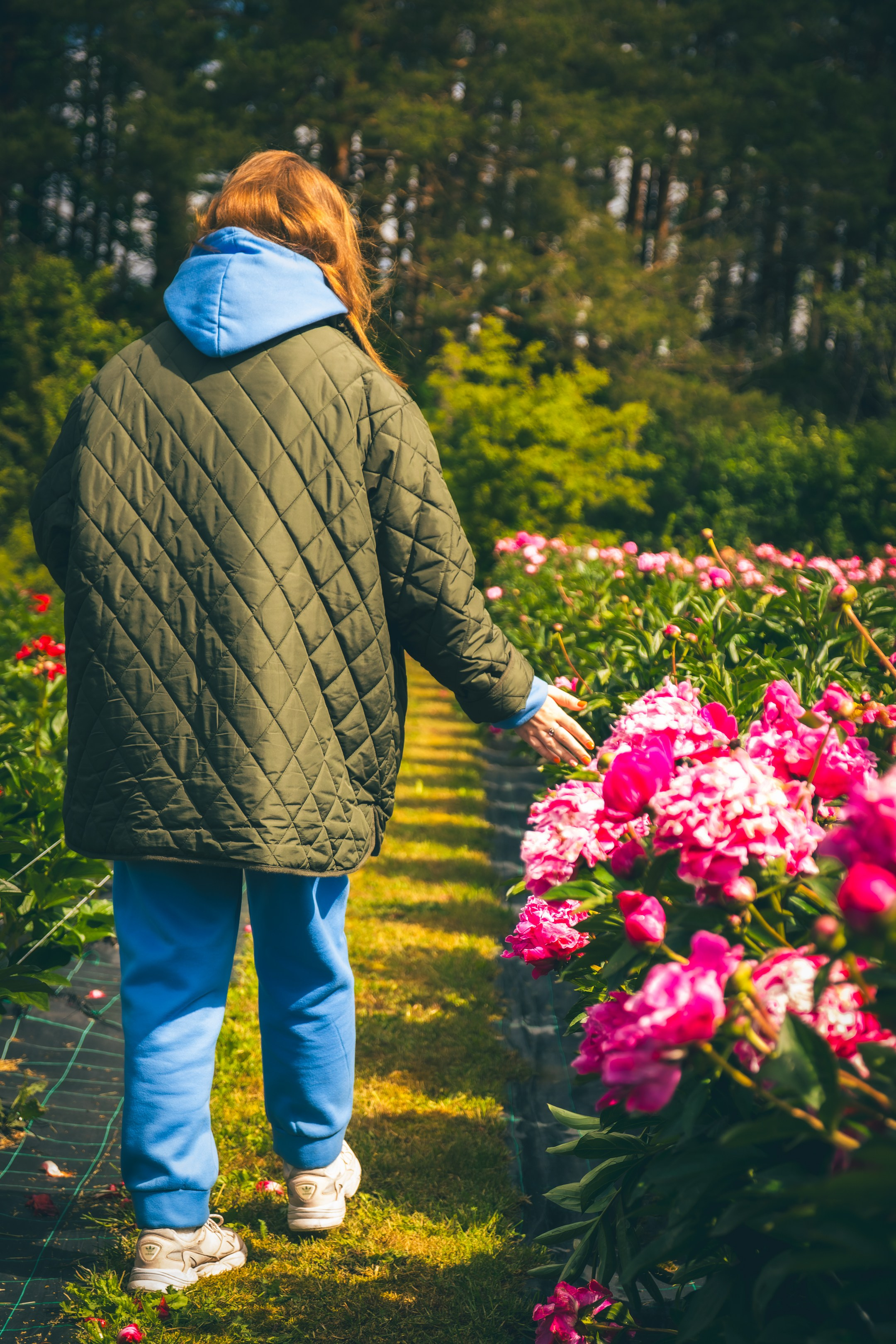 Saaremaa, reis (Nika A.). Nebula 25 — Fotod teie hingele