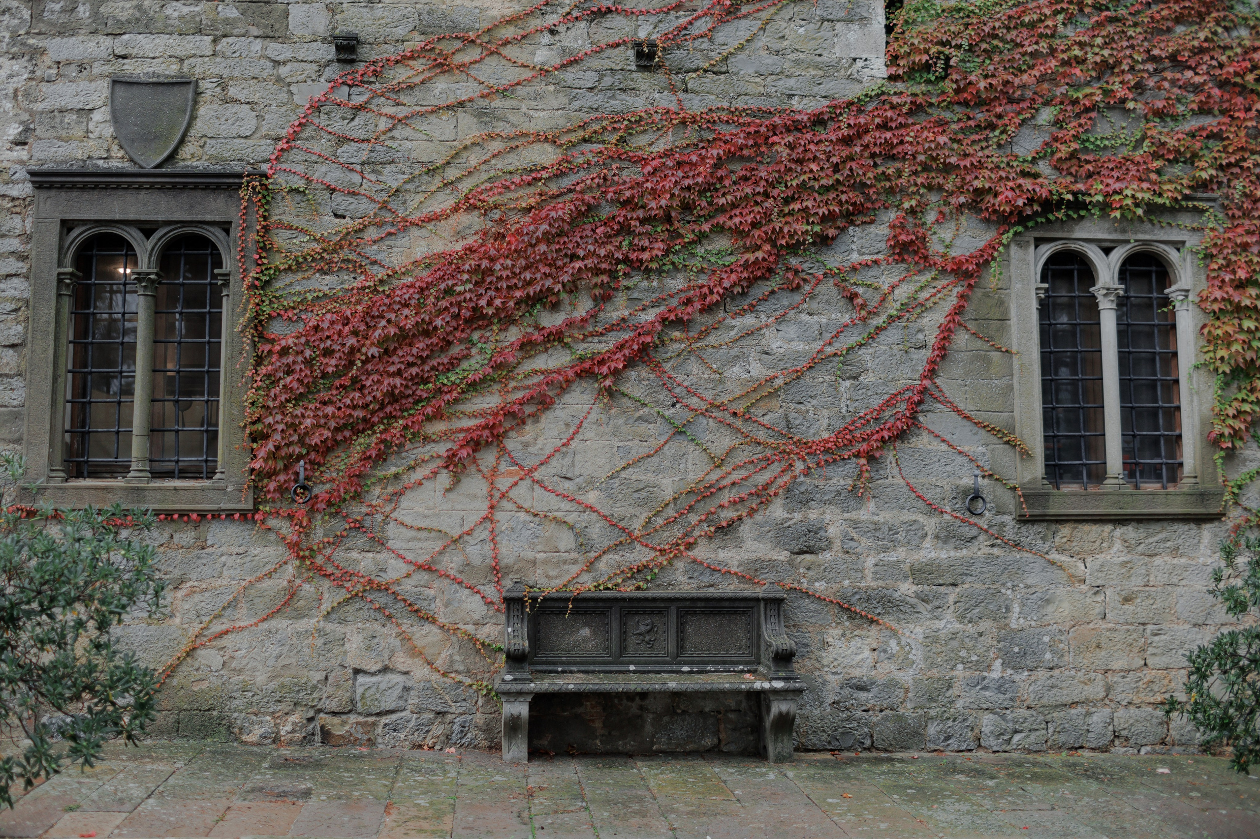 Ekateryna&David wedding in Tuscany. Весільний фотограф Вікторія Саврук