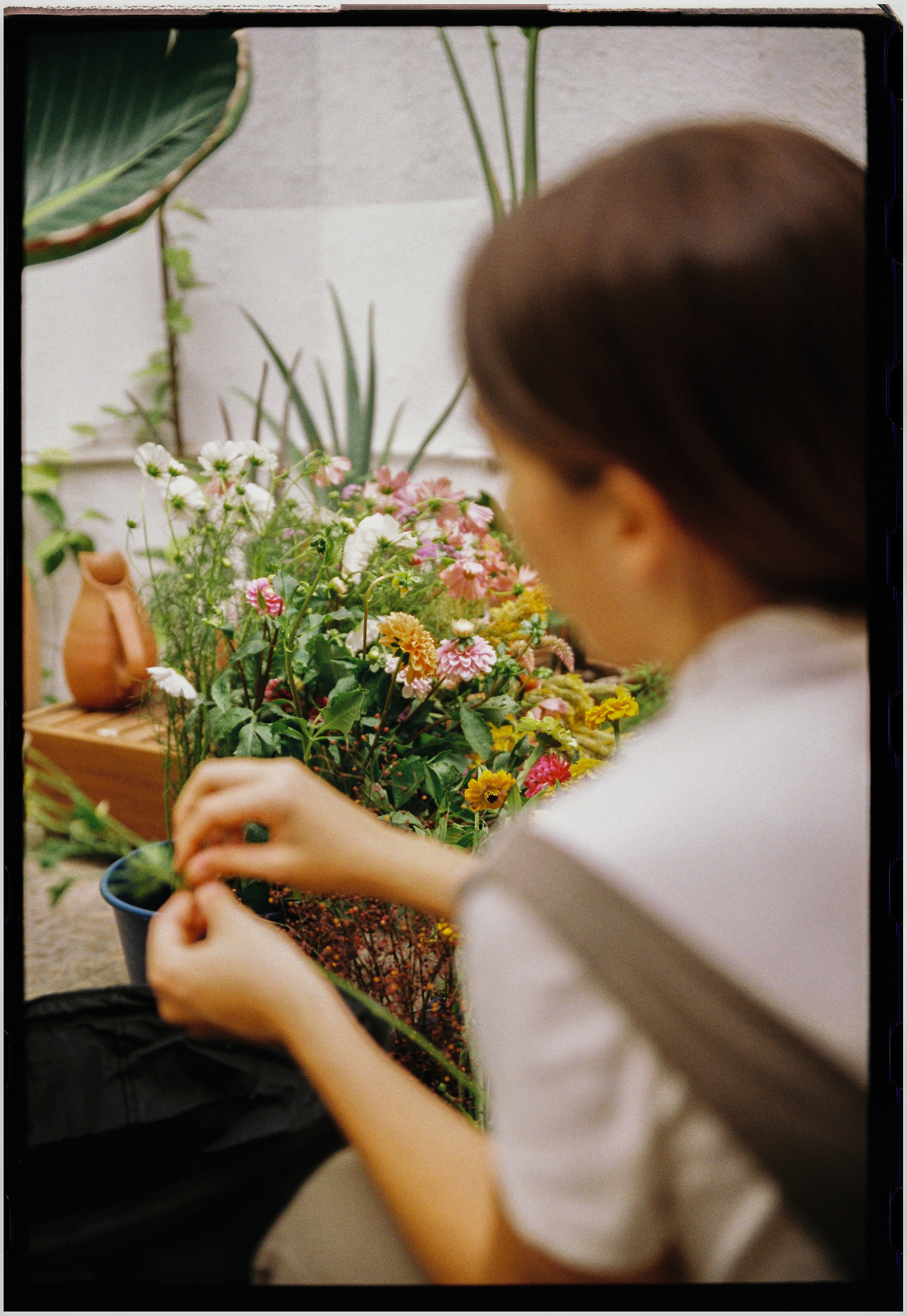 Photography: Kamila Solarz