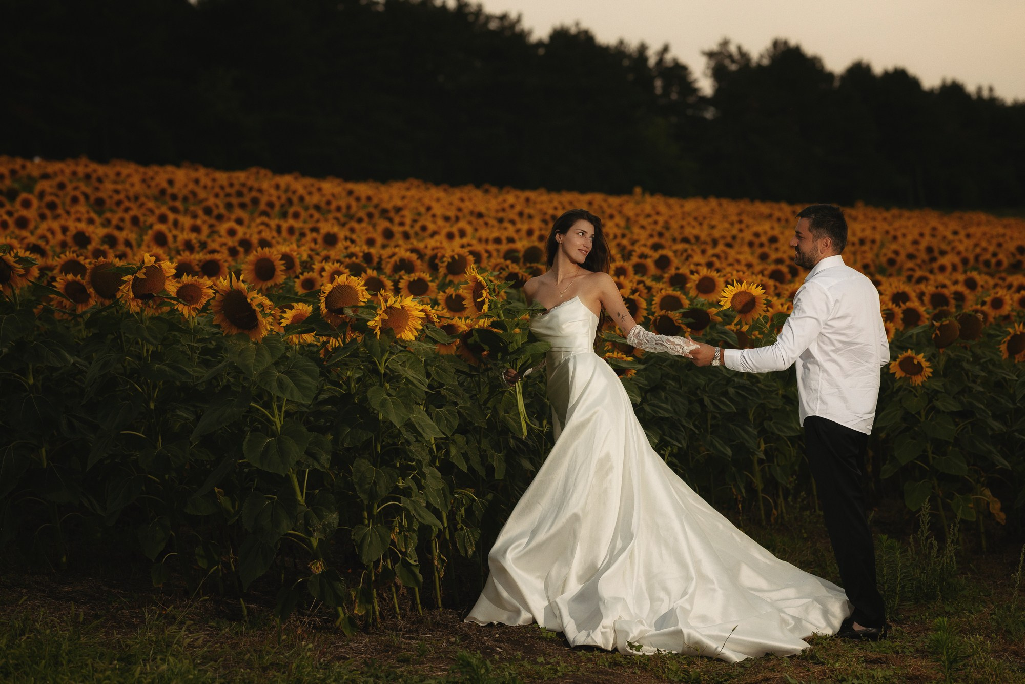 Sunflowers. Lika Gabunia photography lika gabunia