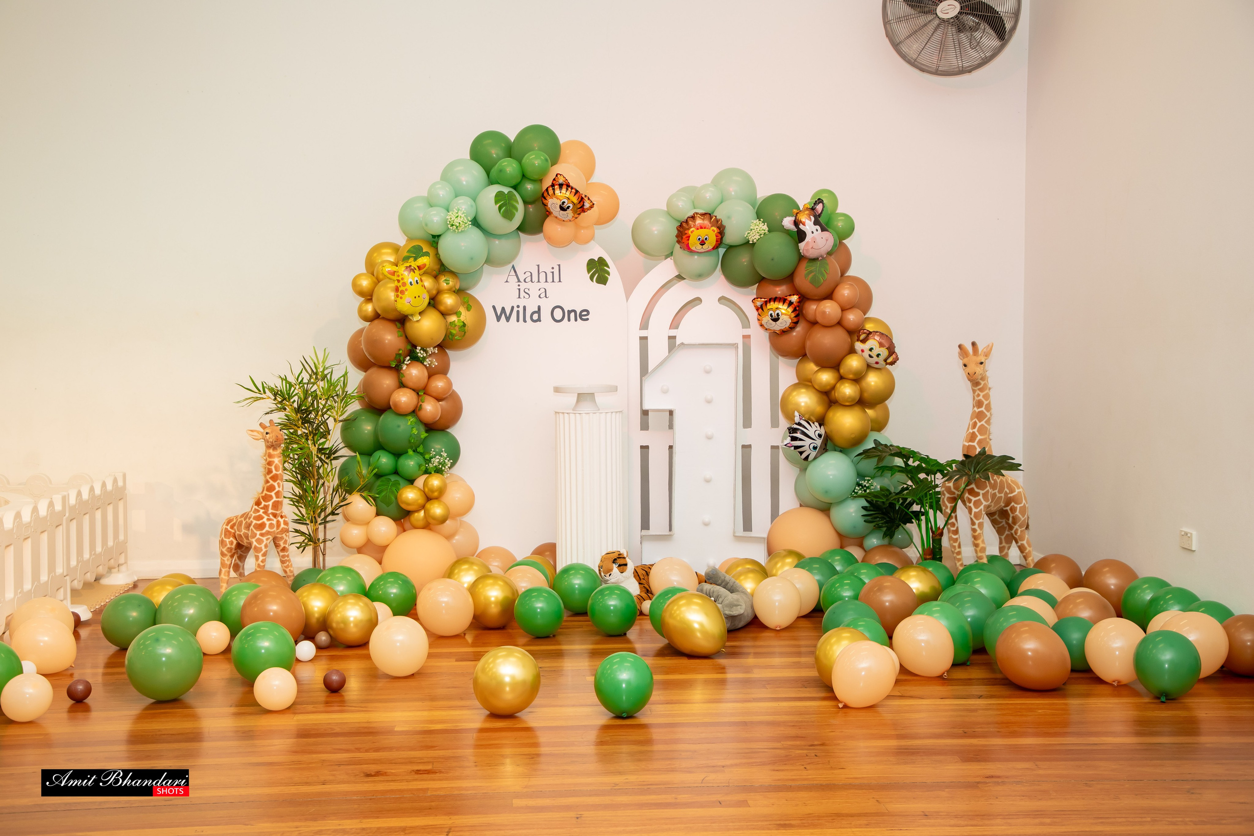 AAHIL’s 1st Birthday. Freelance Photographer in Newcastle & Central Coast