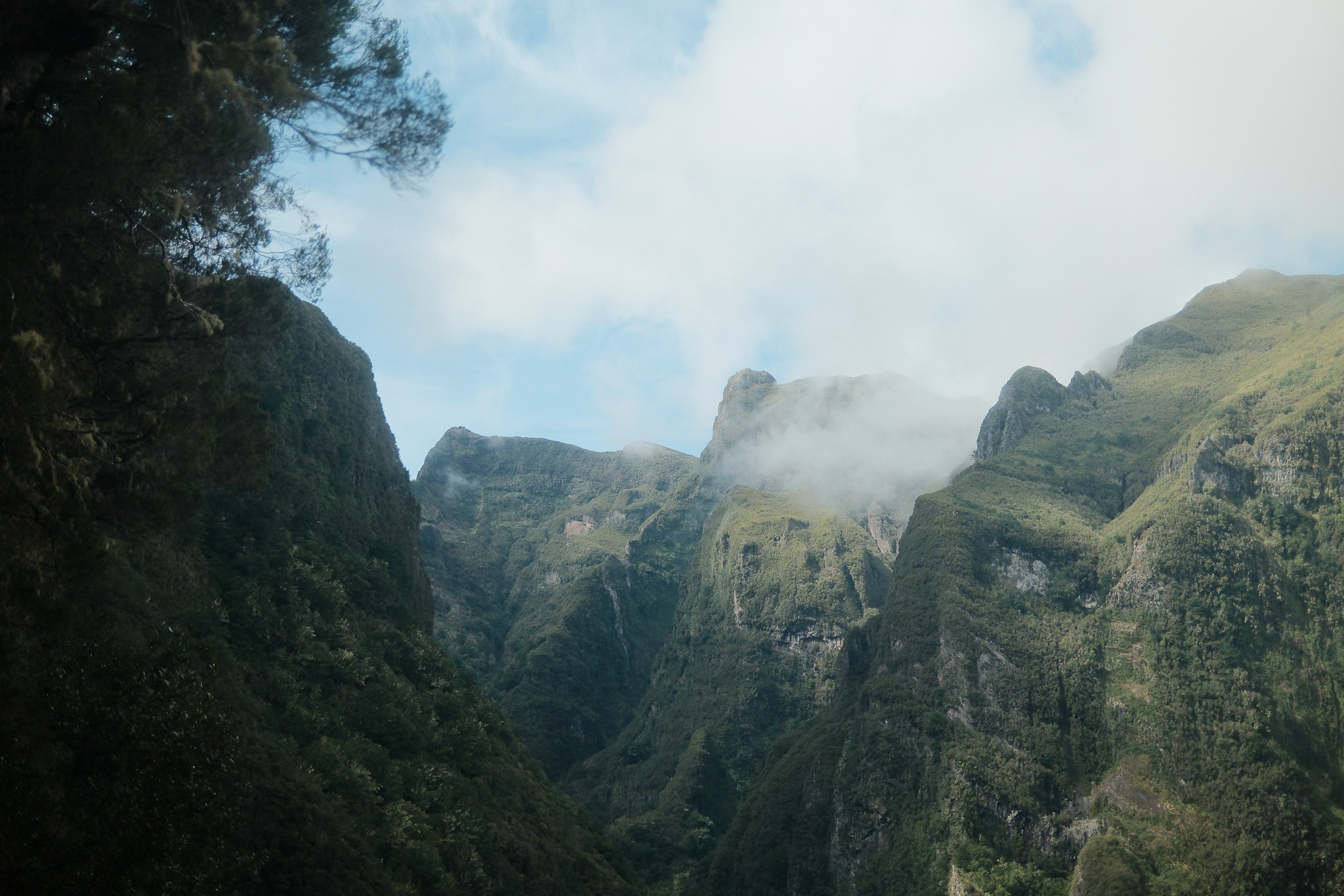 Madeira 2025. Cal Takes Photos