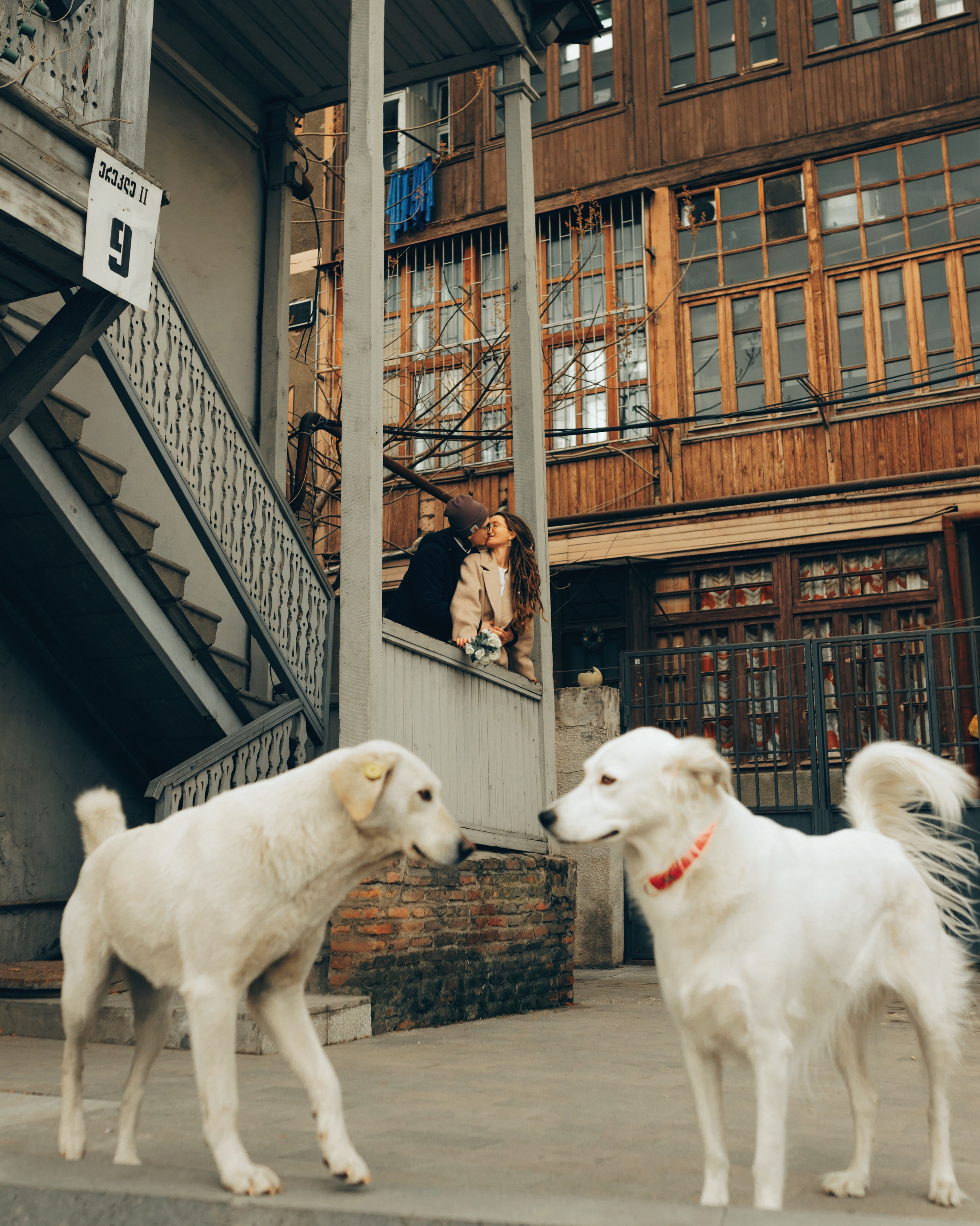 Wedding & lovestory. Mari tbilisi photographer Tbilisi Georgia