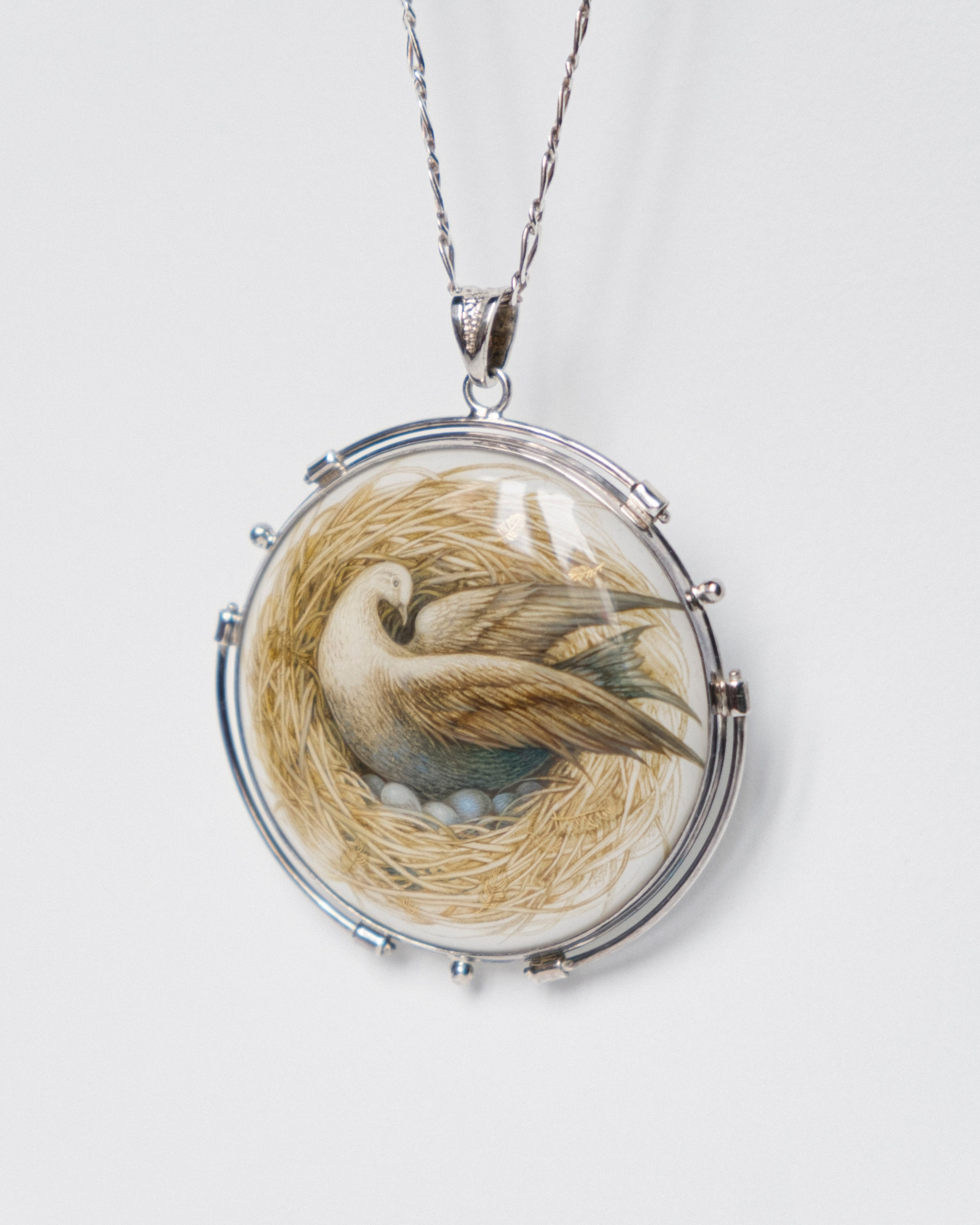 Dove. Marina Rogatova