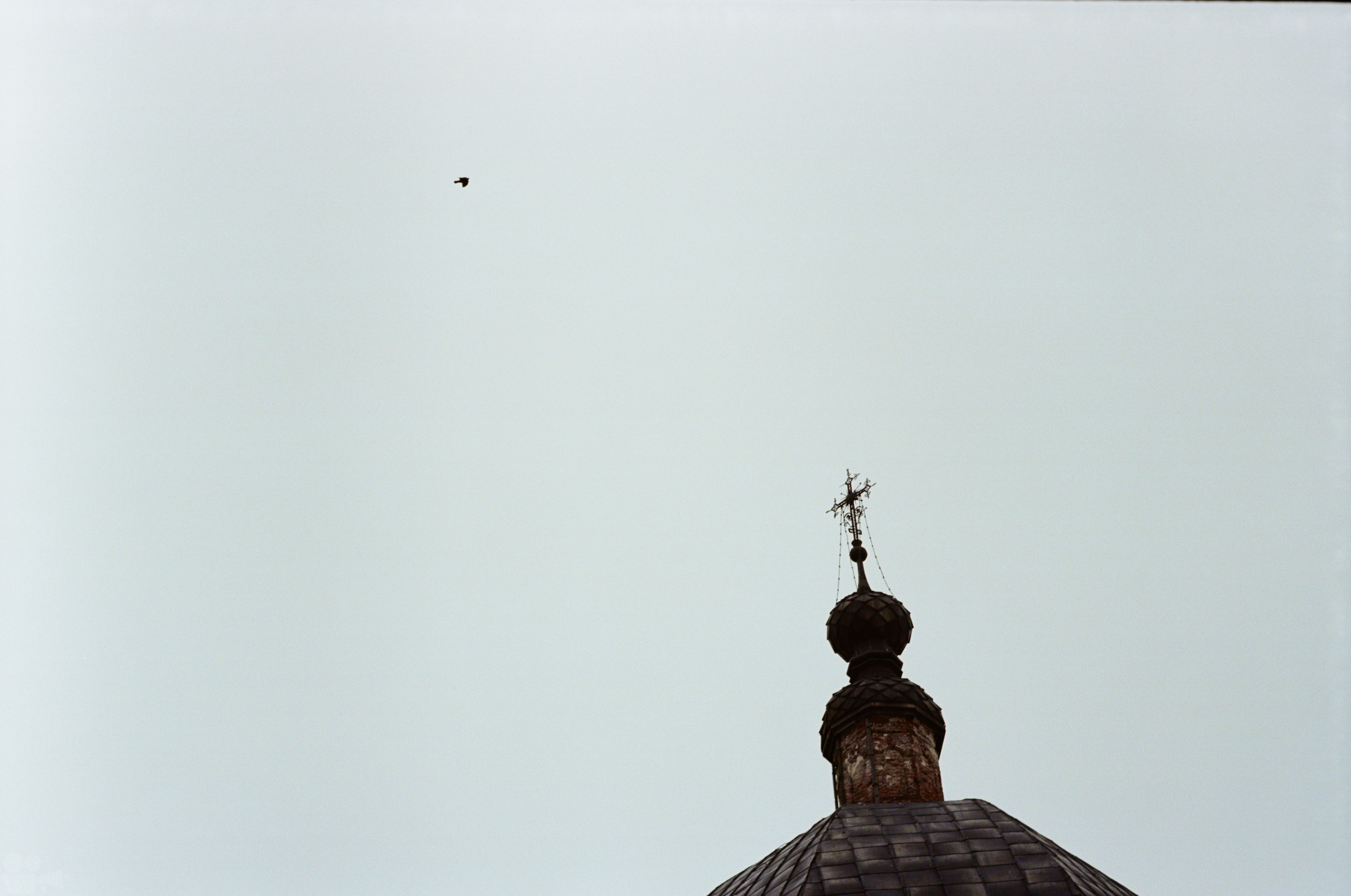 HEAVY METALS. VVoPoL