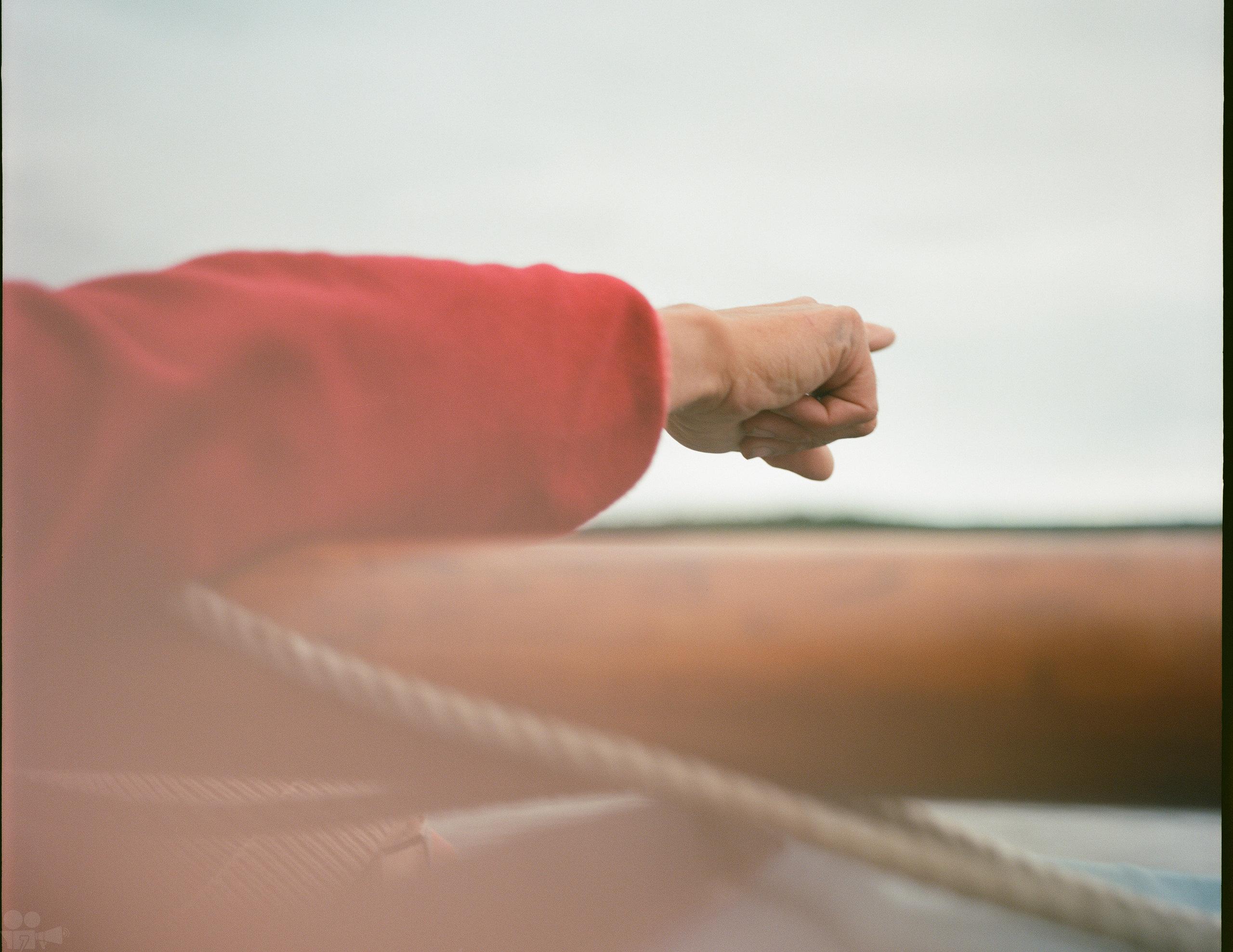 Magic Forest. VVoPoL