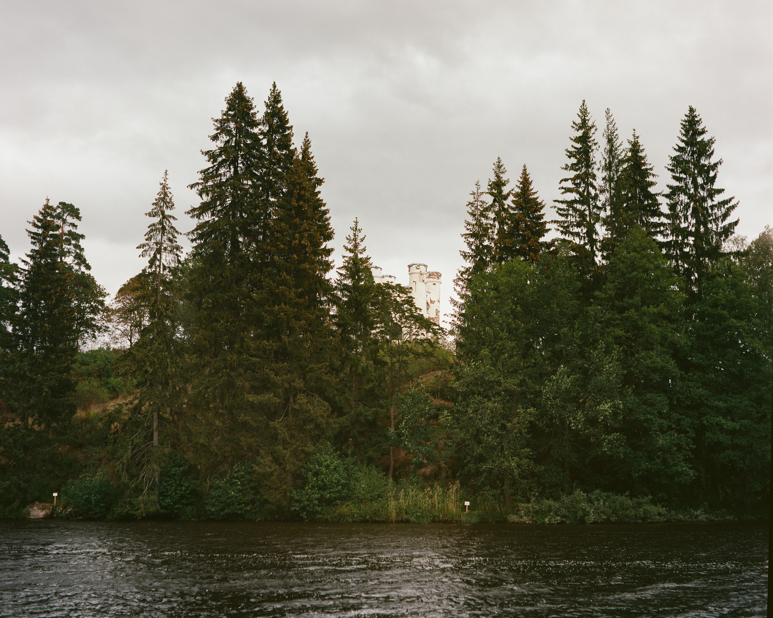 Magic Forest. VVoPoL