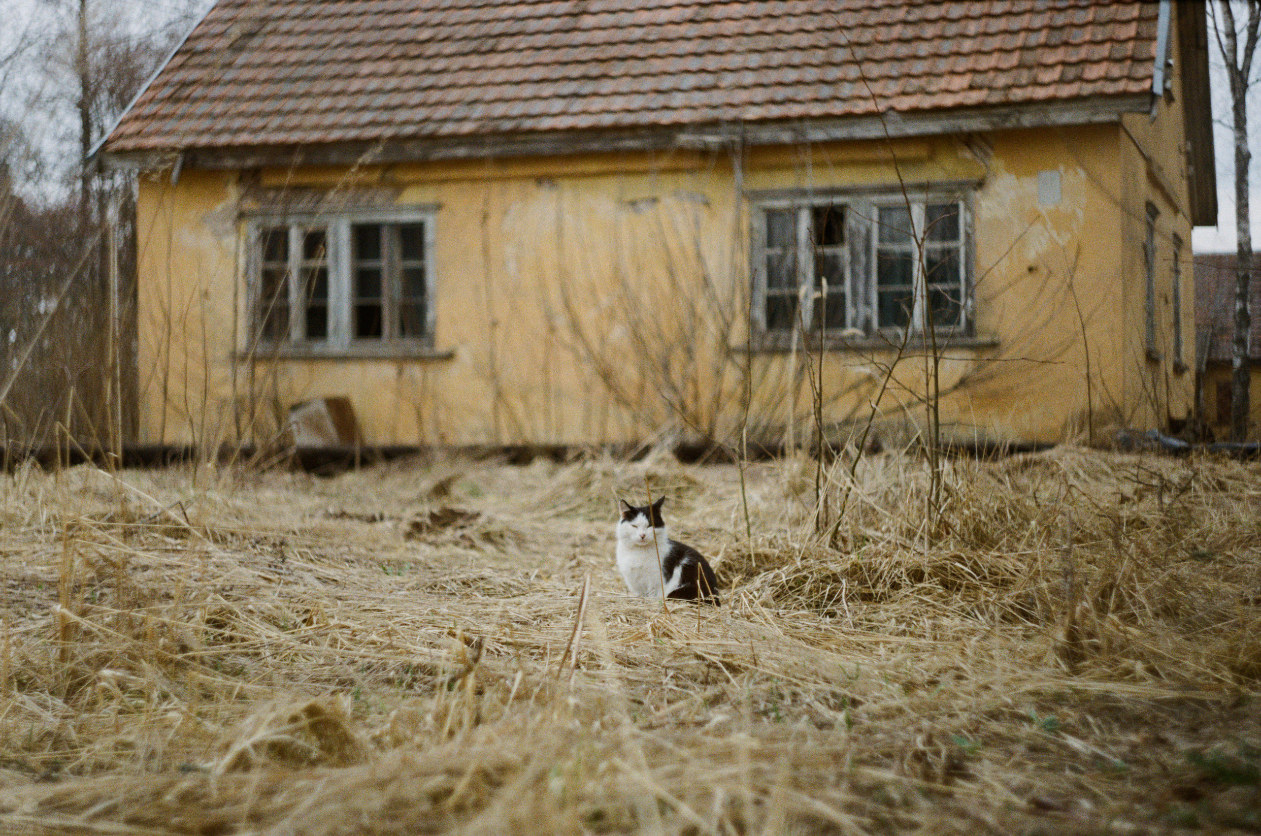 HEAVY METALS. VVoPoL