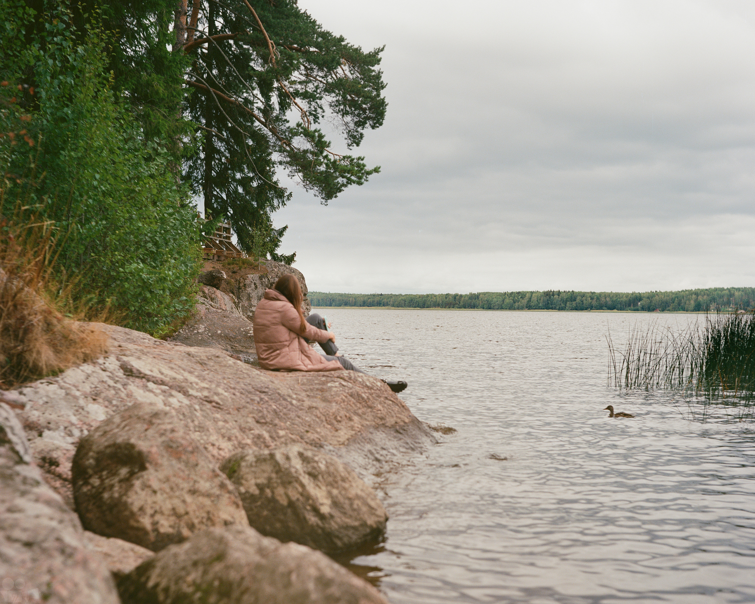 Magic Forest. VVoPoL