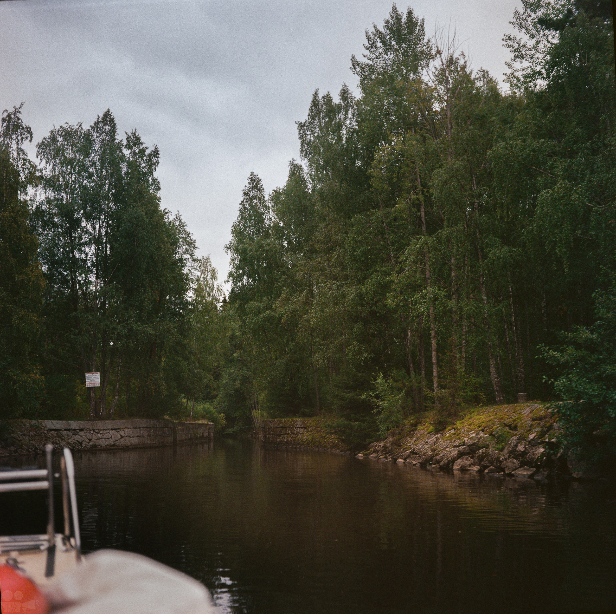 Magic Forest. VVoPoL