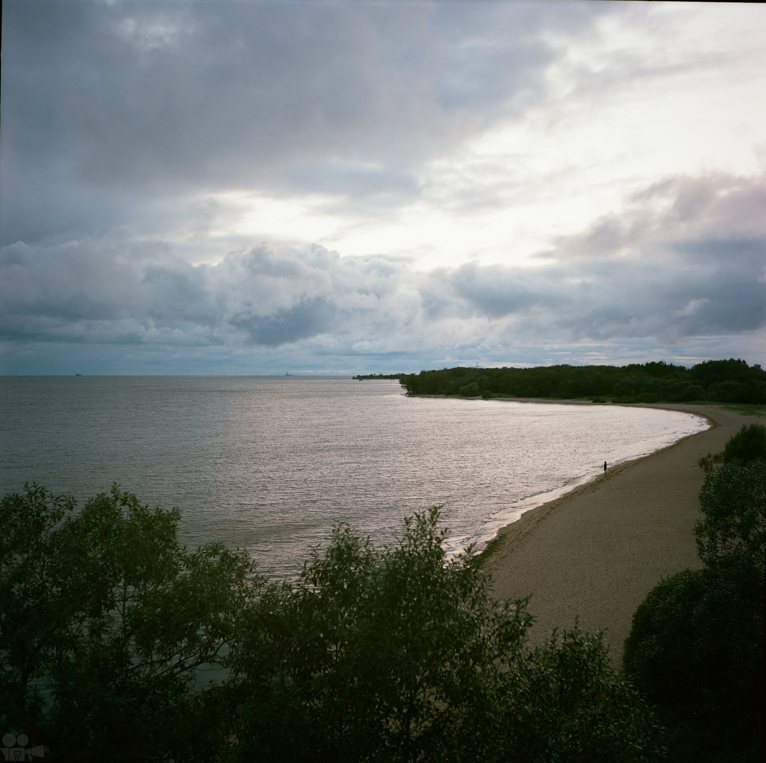 Magic Forest. VVoPoL