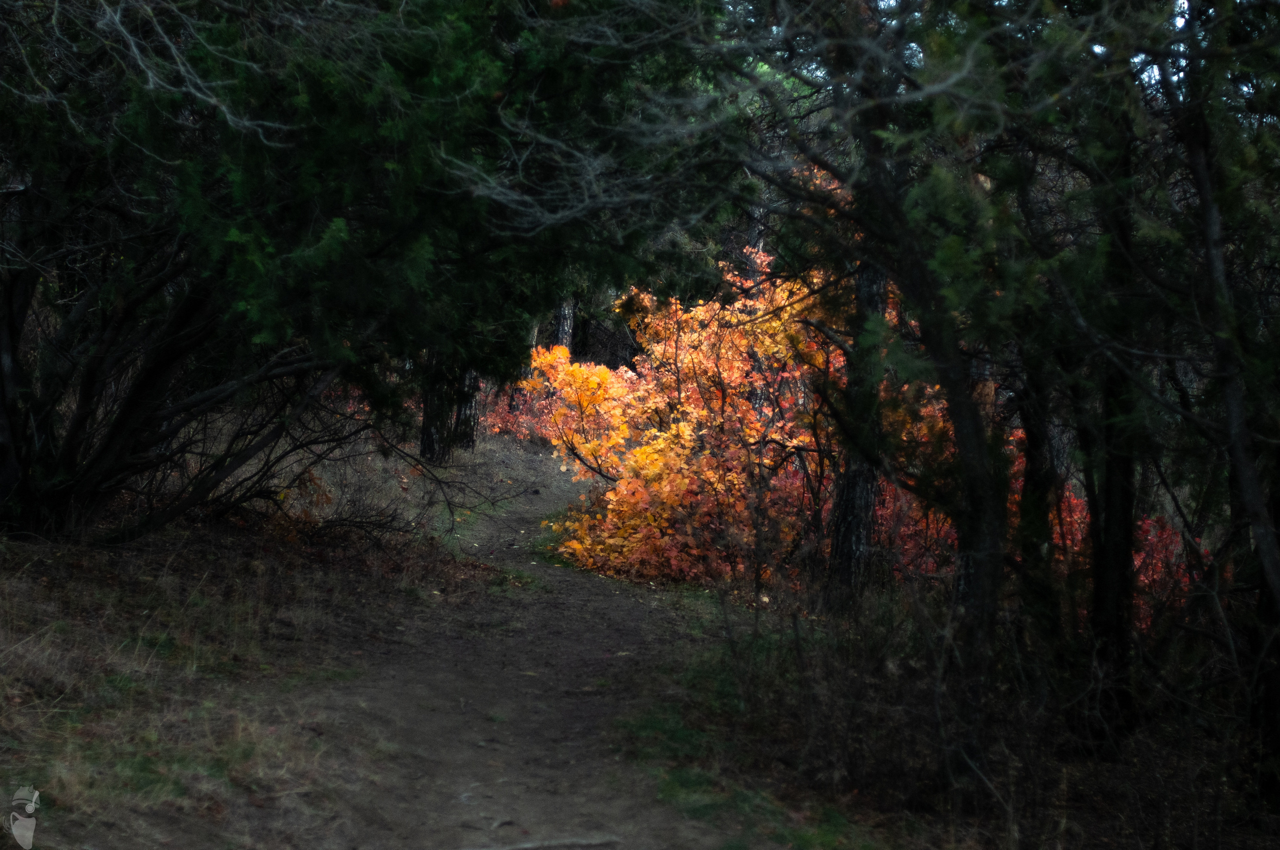 Tbilisi through the lens. VVoPoL
