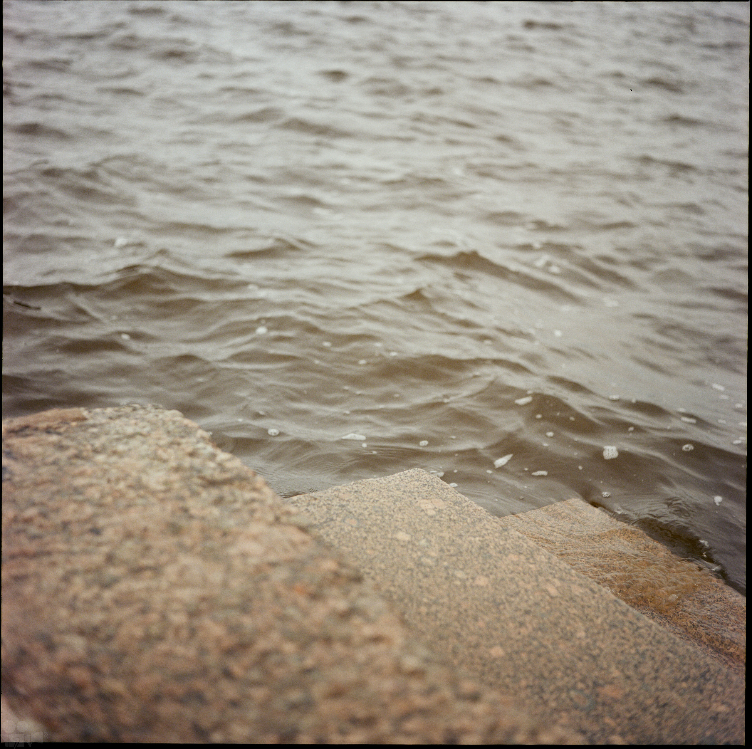 Magic Forest. VVoPoL