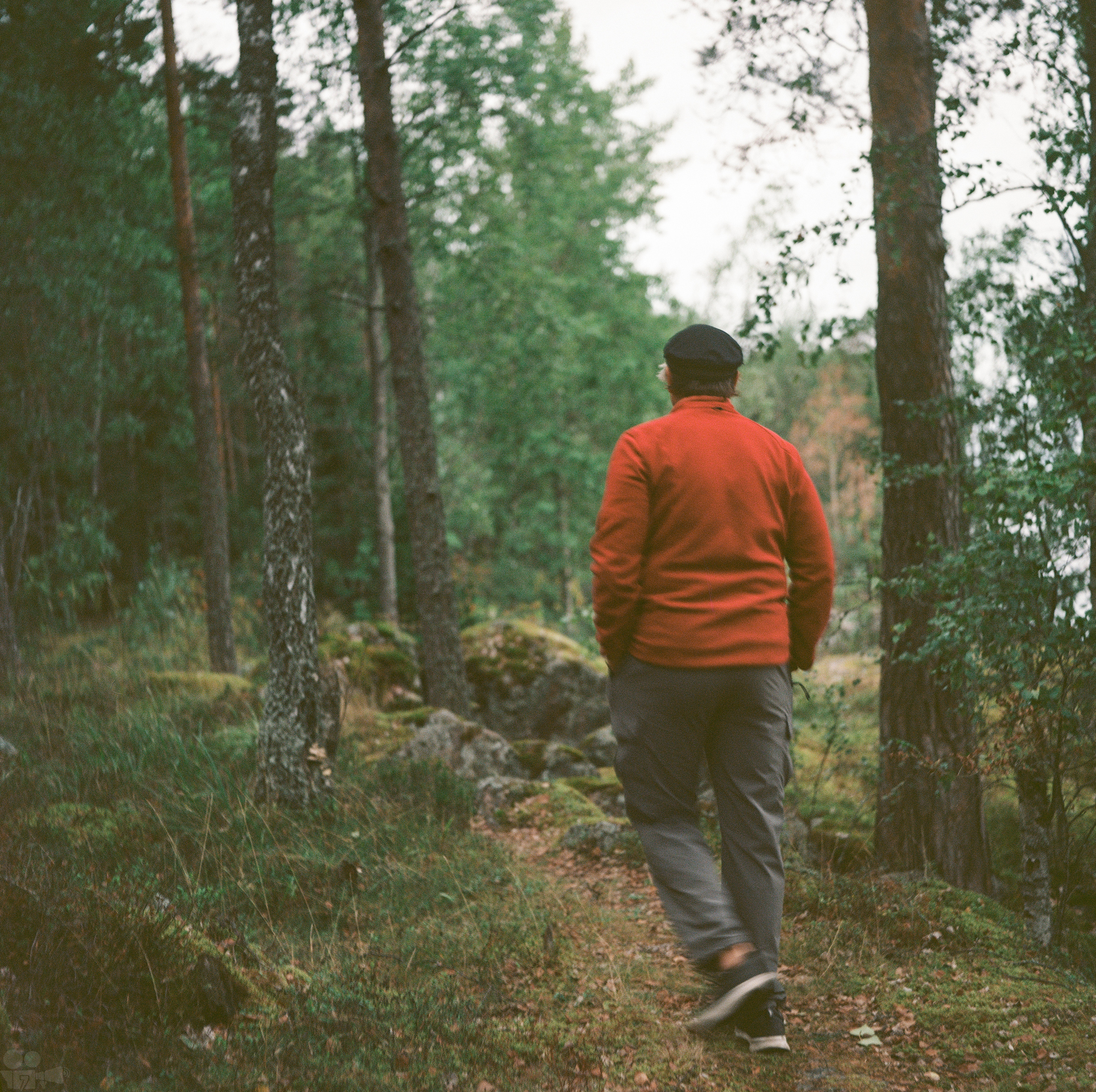 Magic Forest. VVoPoL