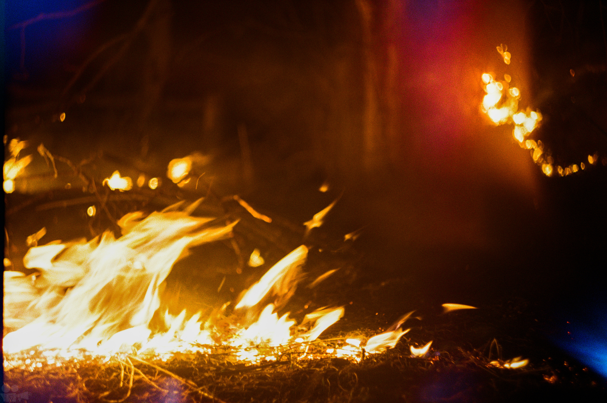 HEAVY METALS. VVoPoL