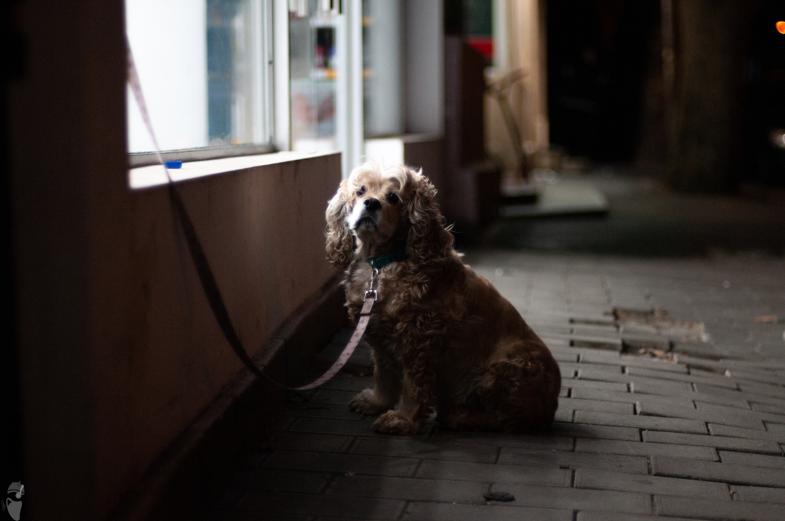 Tbilisi through the lens. VVoPoL