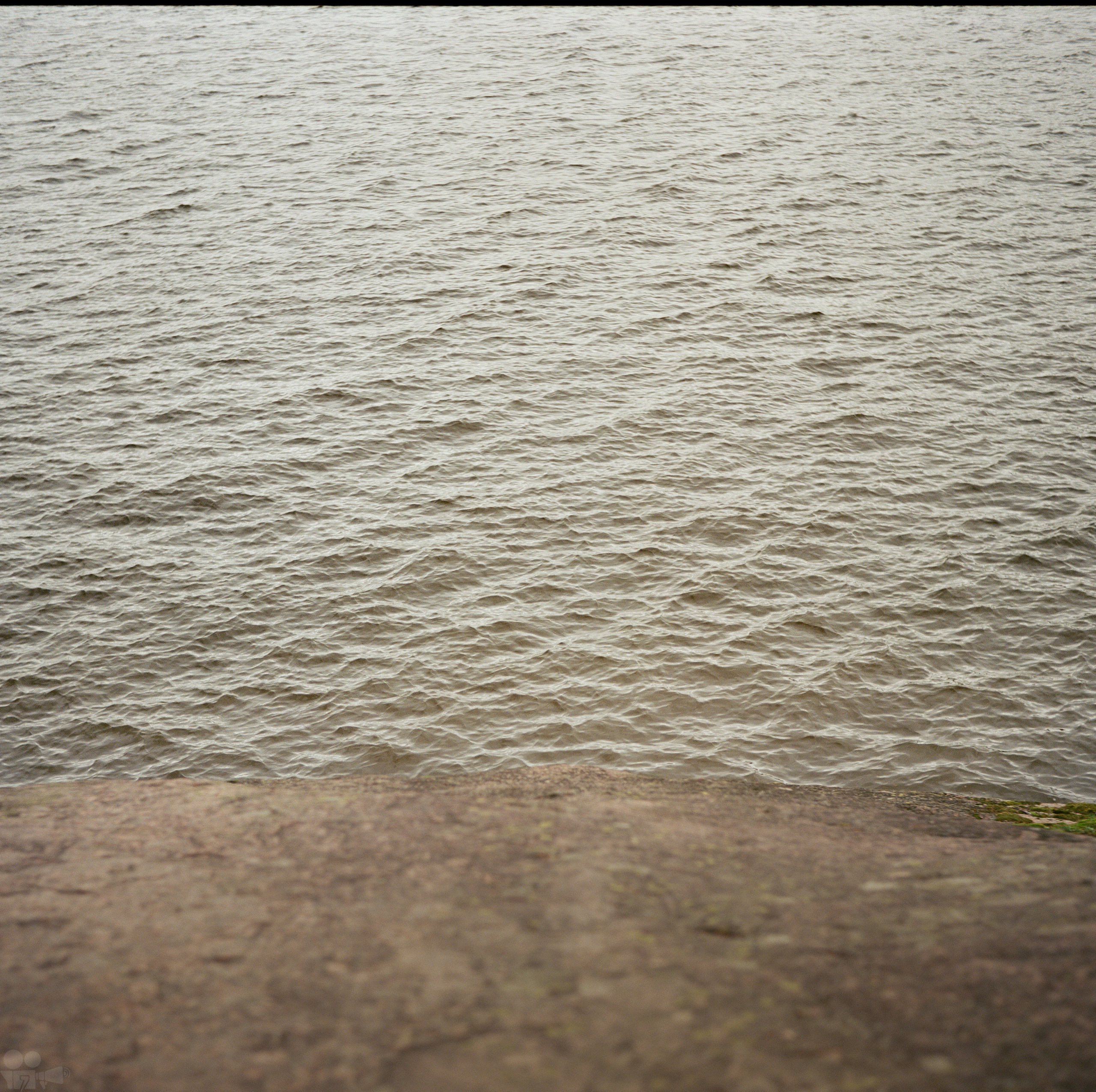 Magic Forest. VVoPoL