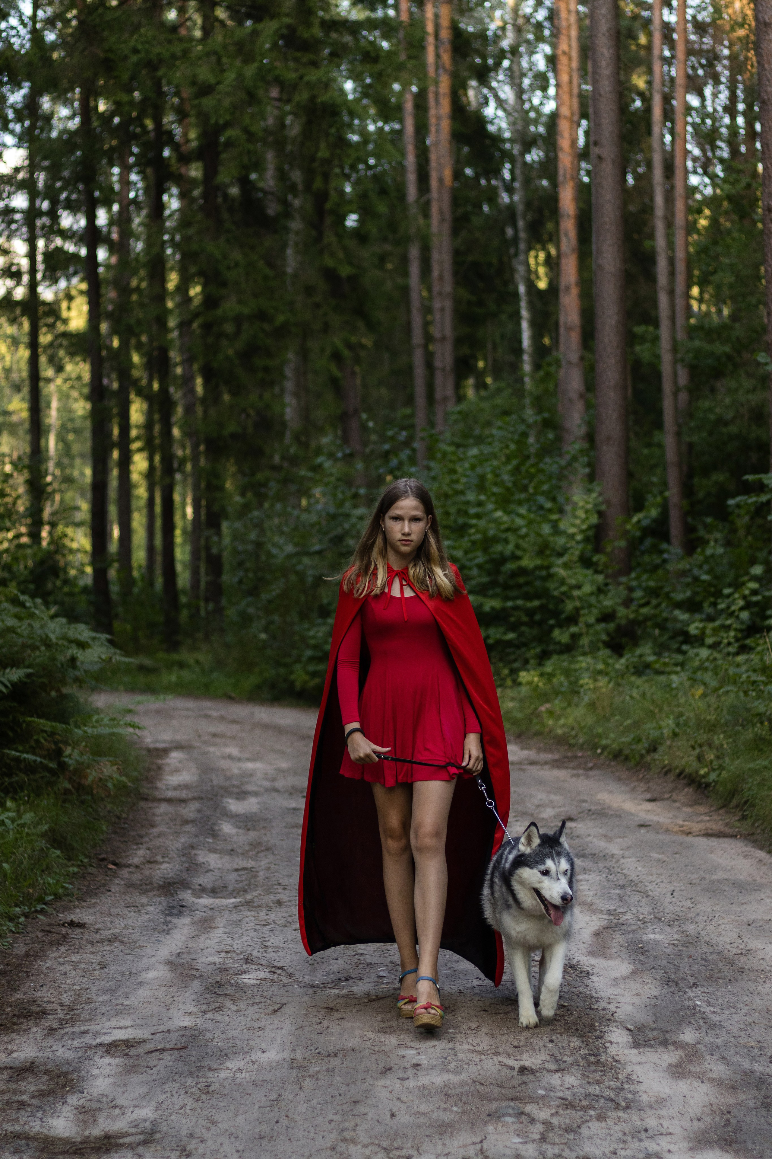 Красная шапочка с хаски в лесу
