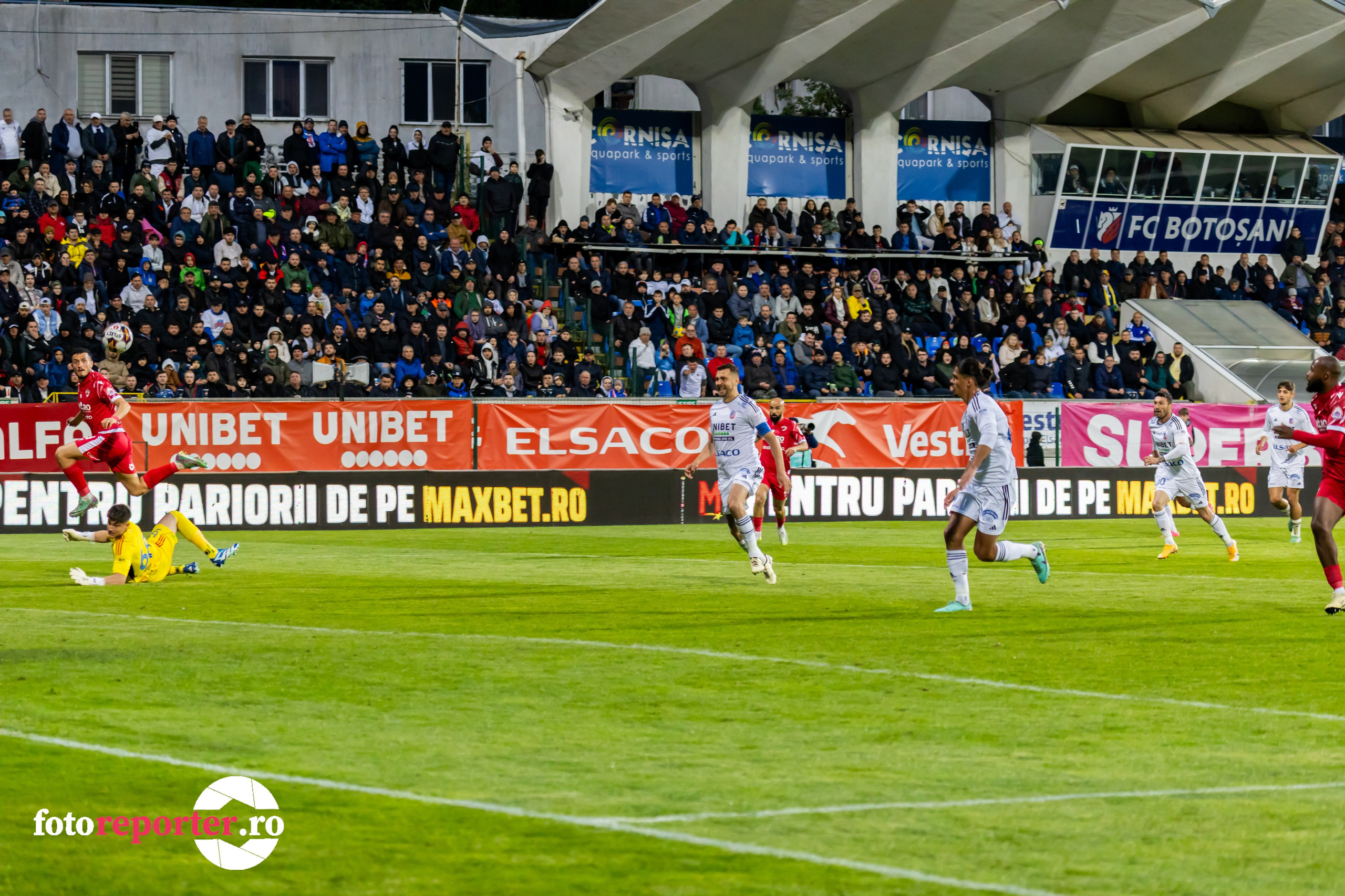 Momente Epice: Galerie foto din meciul de fotbal FC Botoșani vs Dinamo