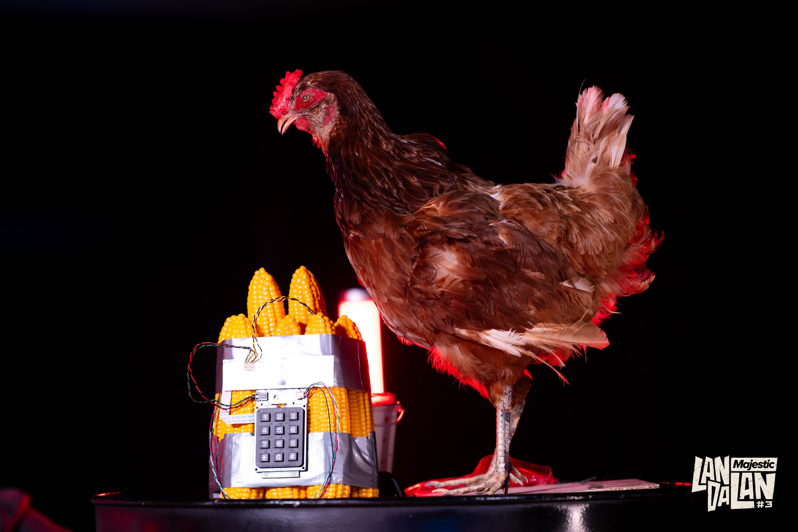 LanDaLan & FRAG & GLuck Yungstar & UCA