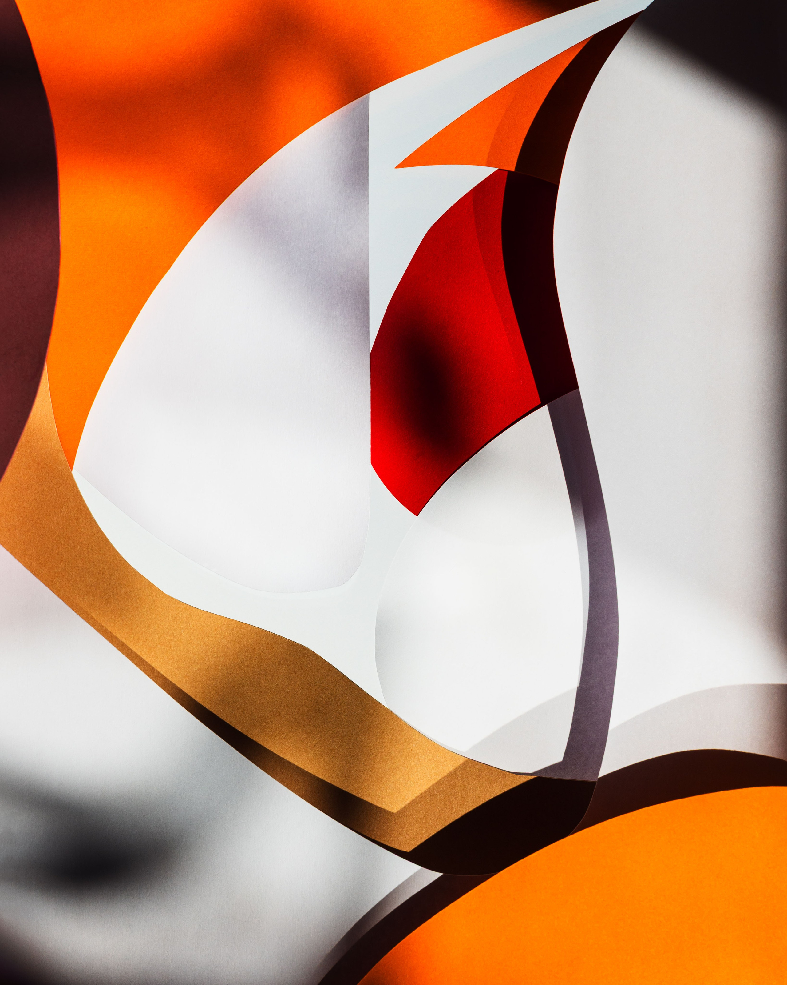 Chroma. Marina Tsaregorodtseva Fine Art photographer, London