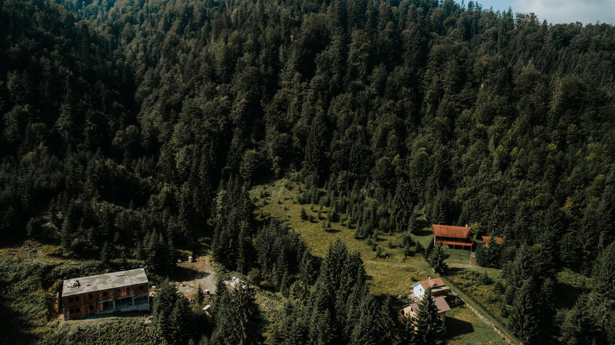 Alex & Andreea. Emotions Photo Art