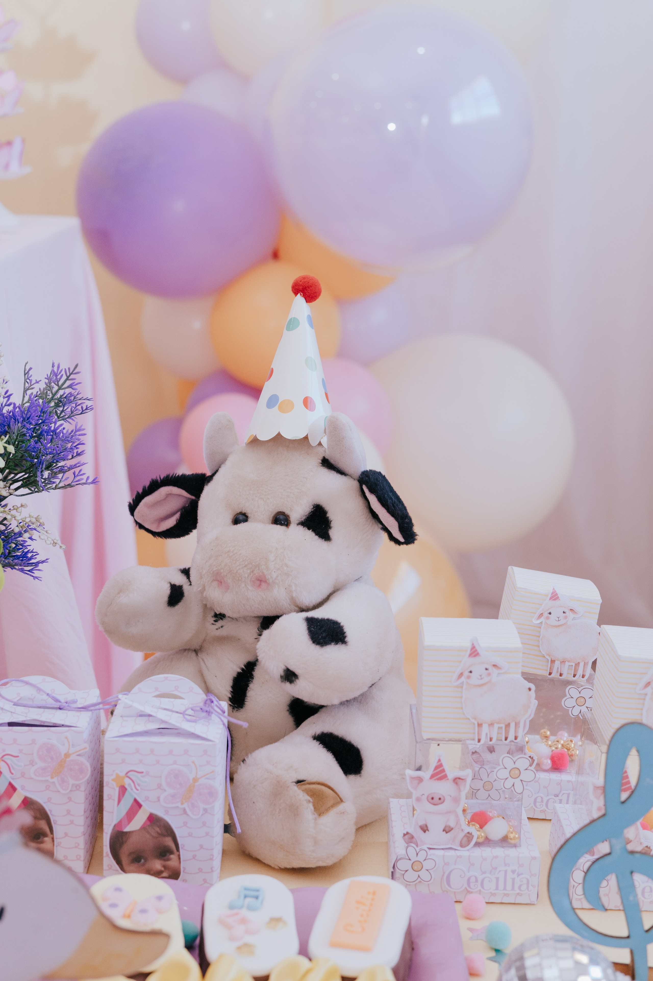 Cecília 2 anos. Fotografia de família e parto