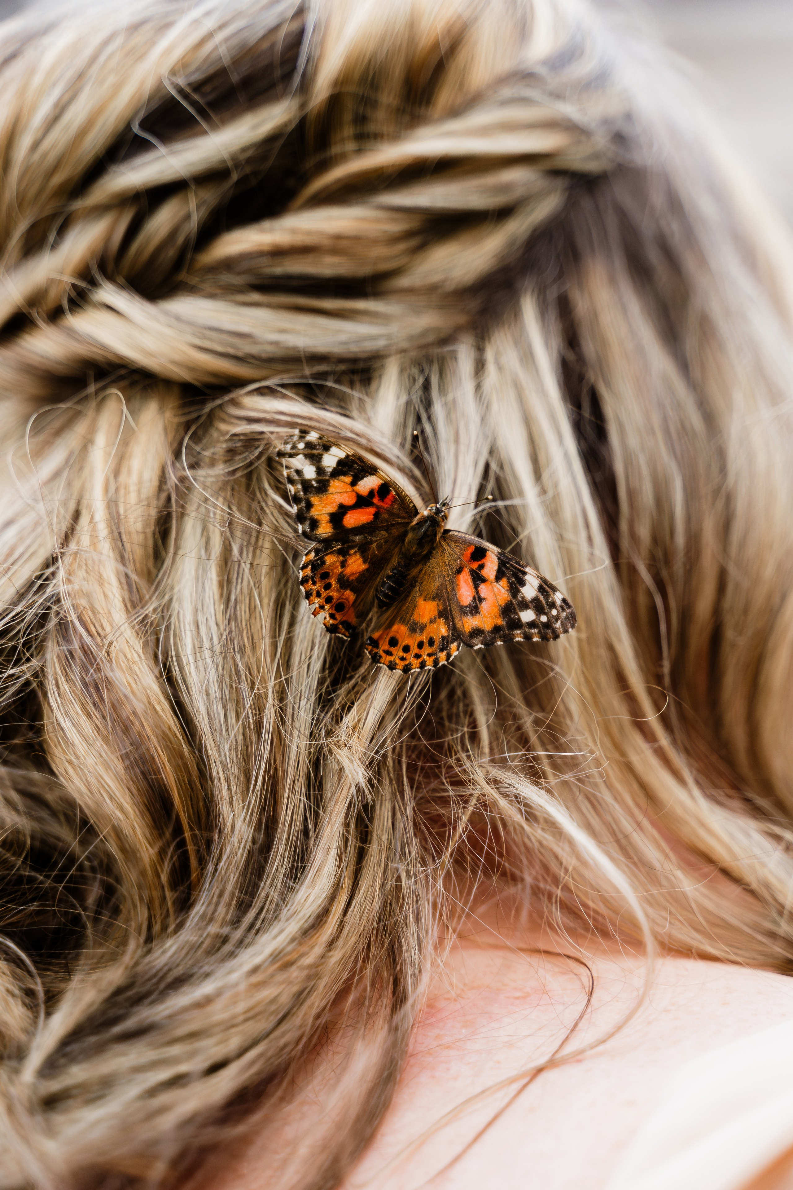Christina & David. Babich_weddings