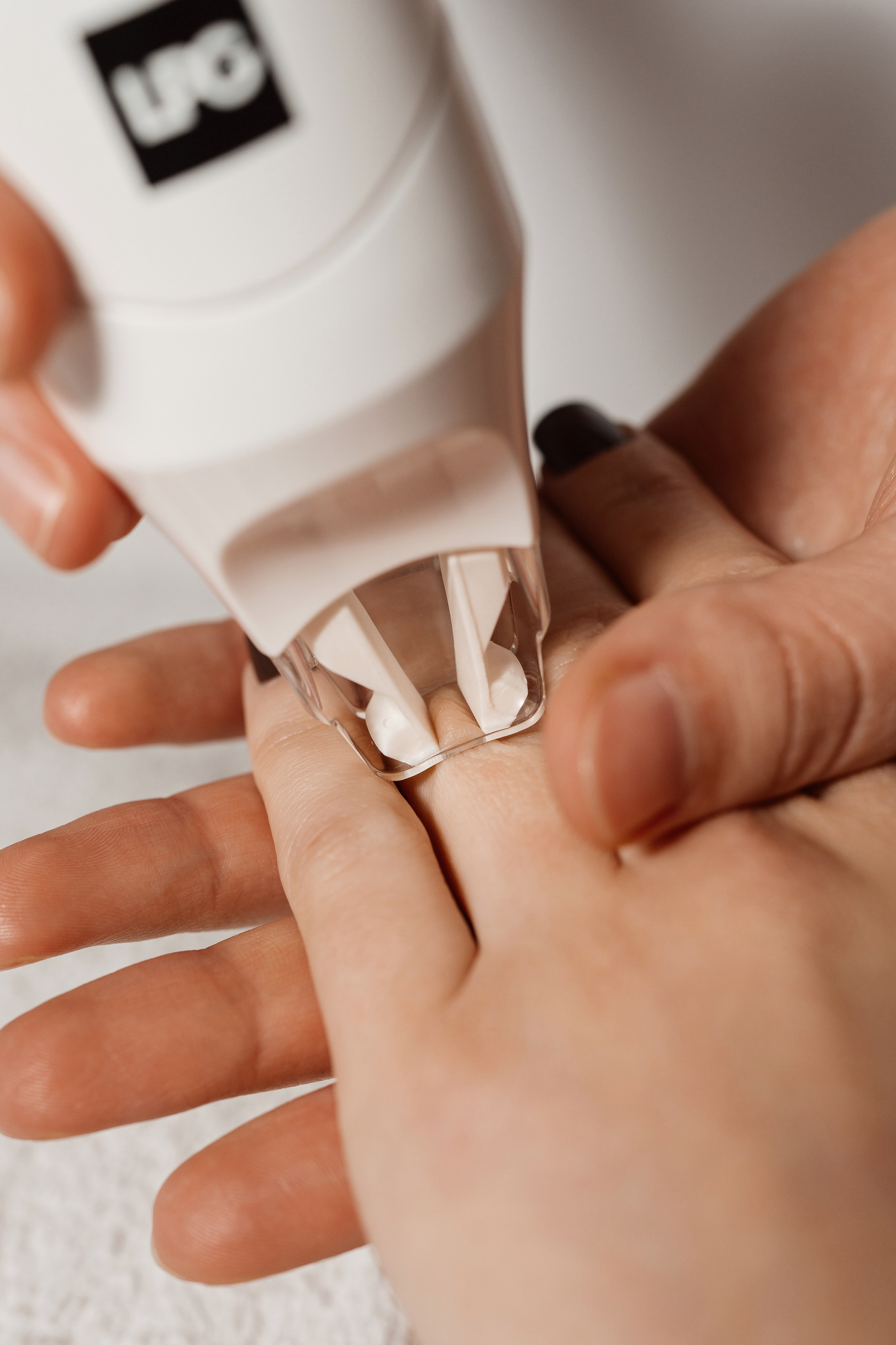 Cattleya | personal branding. Home