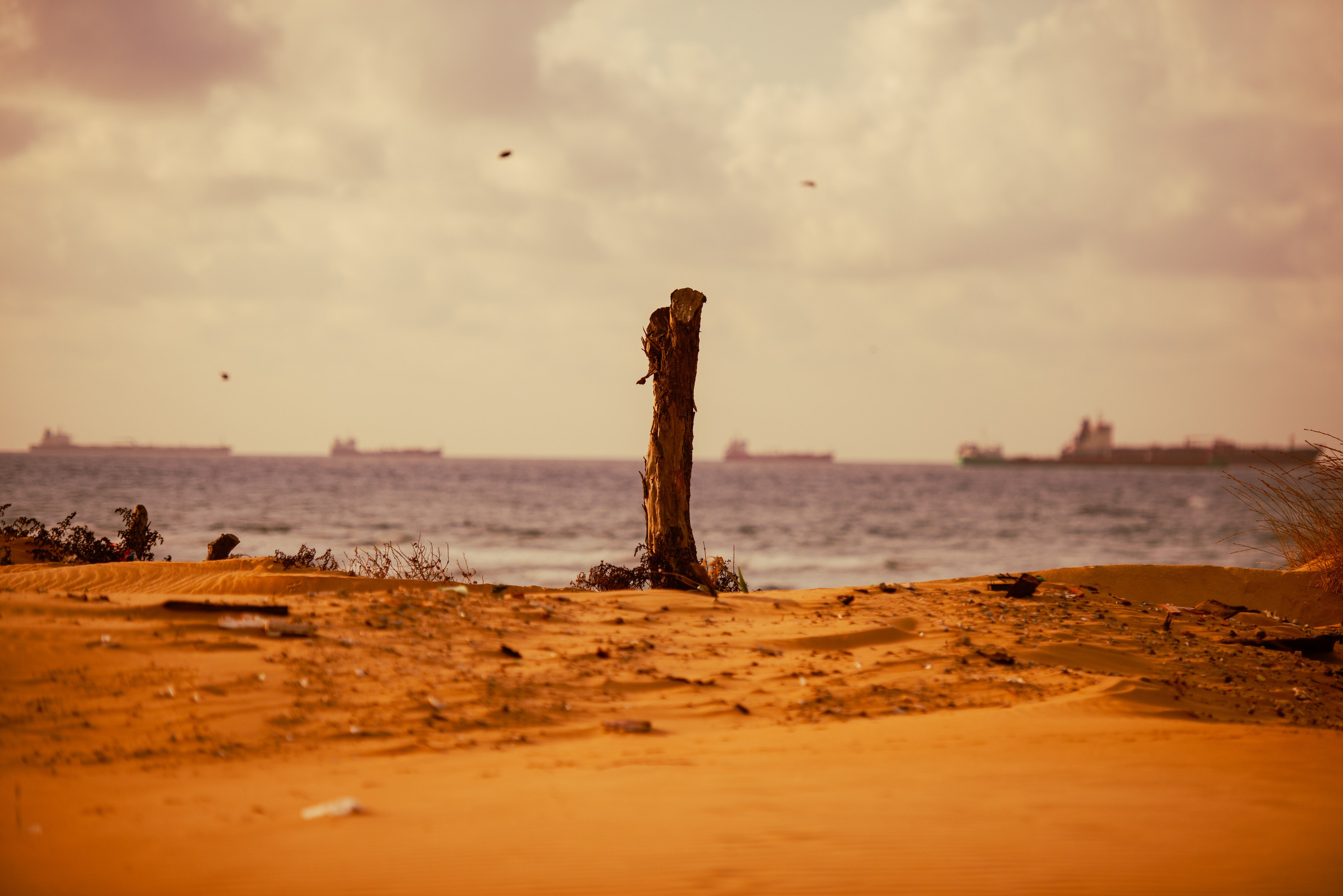 Kilyos — Wind, Sand & Firelight. JourneyUP Visuals