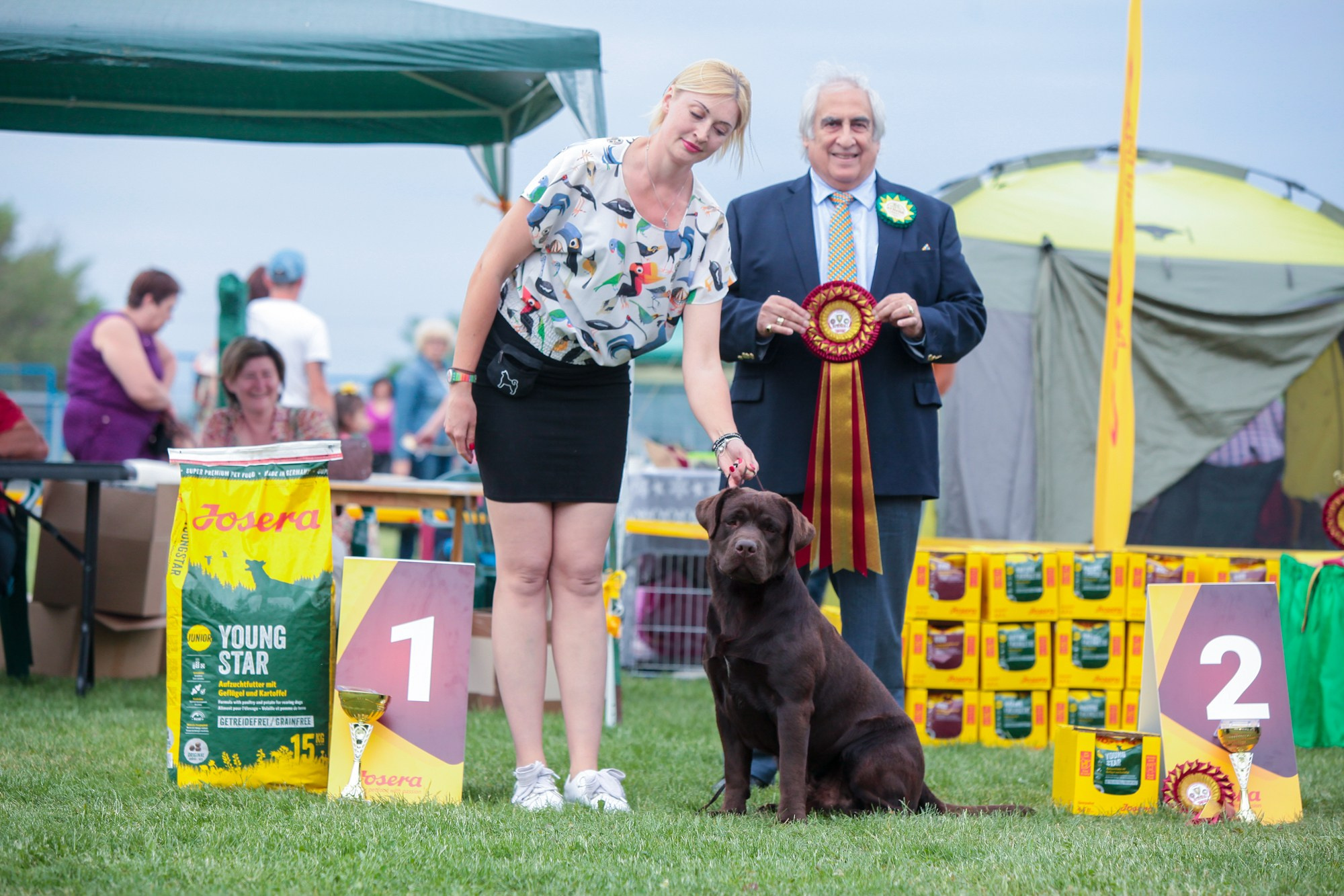 Newton. Цуценята лабрадор ретривера, Дніпро, Україна