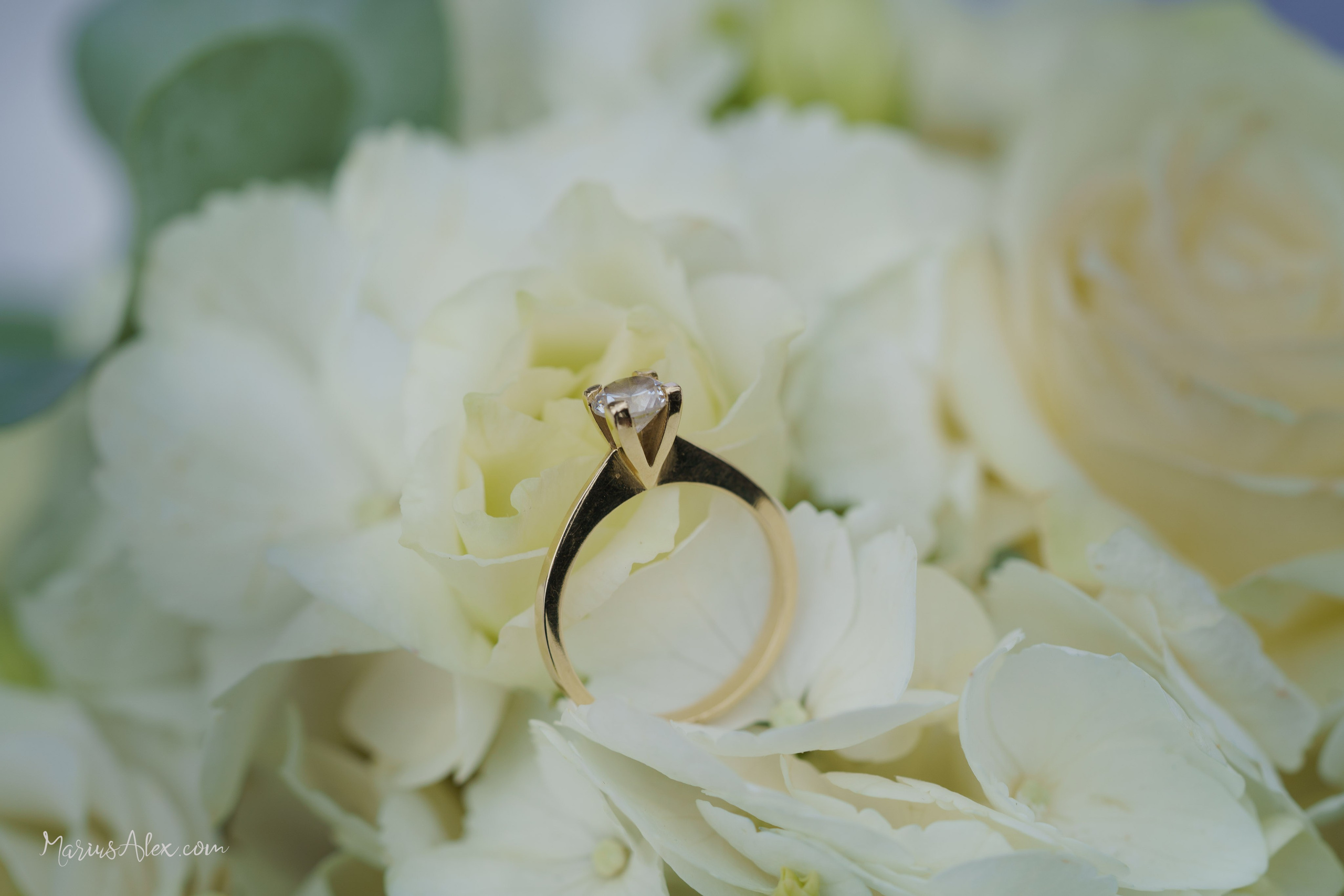 Daniela & Gabriel. Marius Alex fotograf de eveniment si portret din Suceava