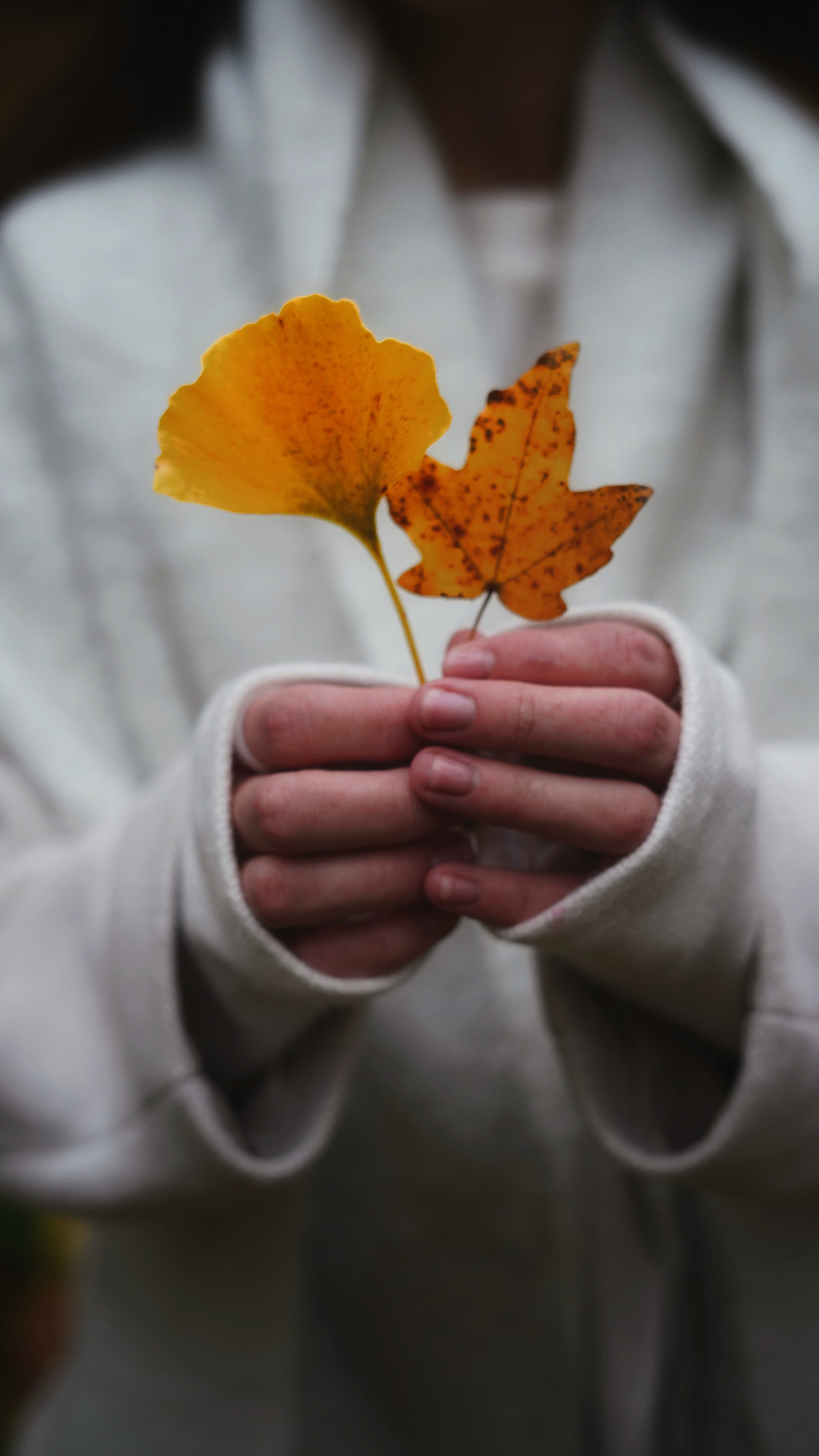 MARIIA - STREET. Content creator | Fotografia | Videografia