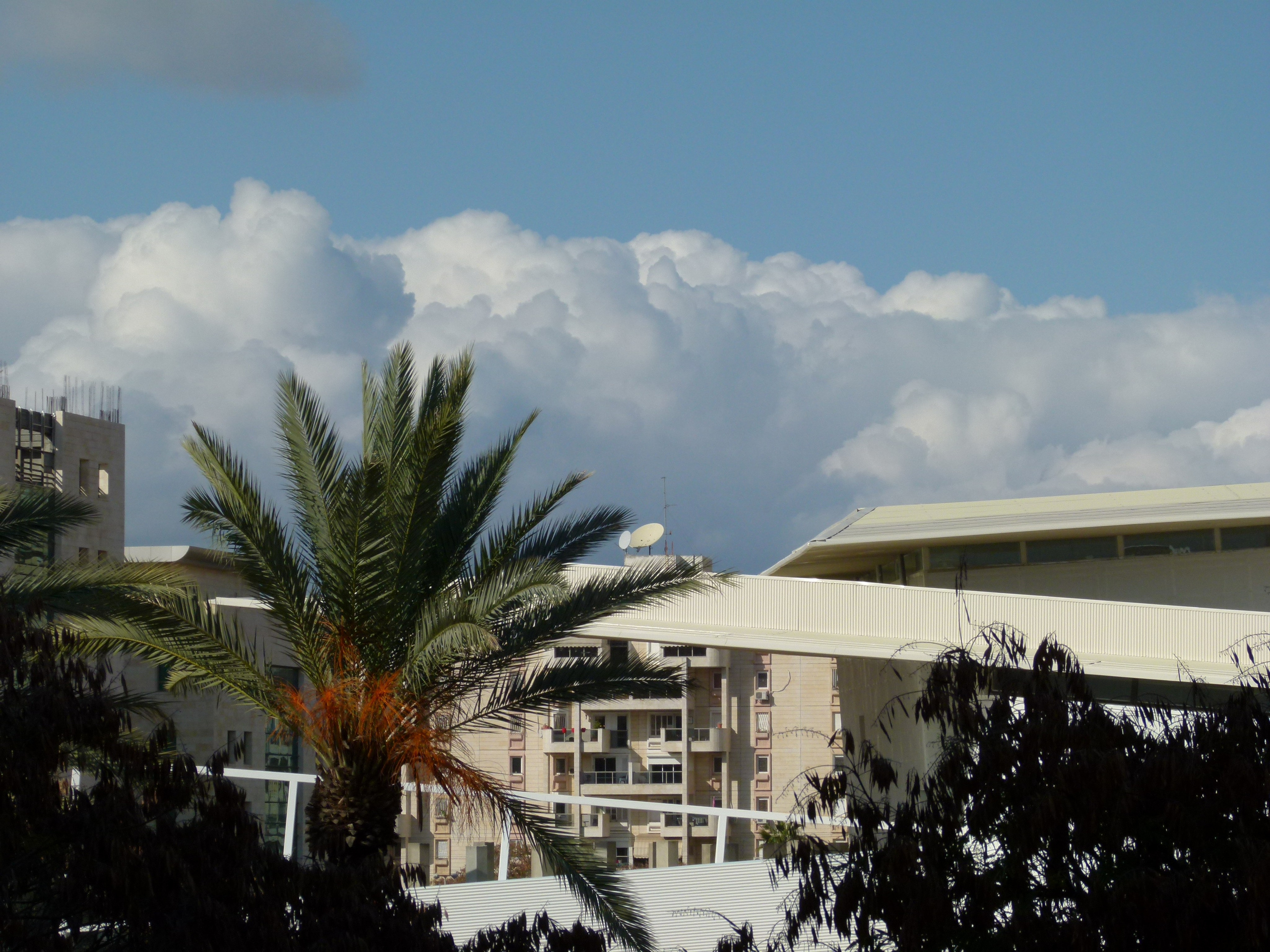 ISRAEL and beautiful people