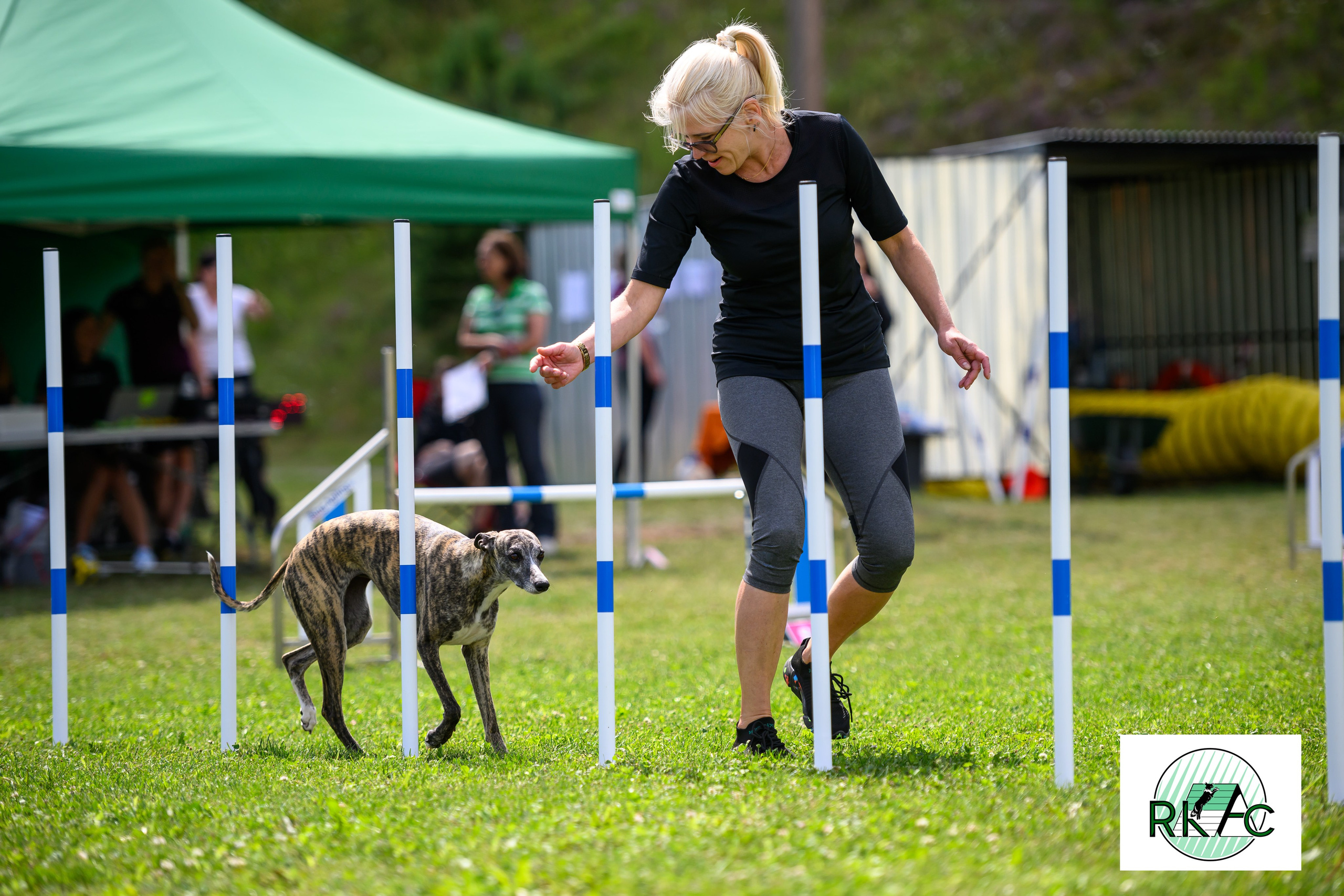 Suņu sacensības veiklībā. Ritvars Pujats Emotion Photographer