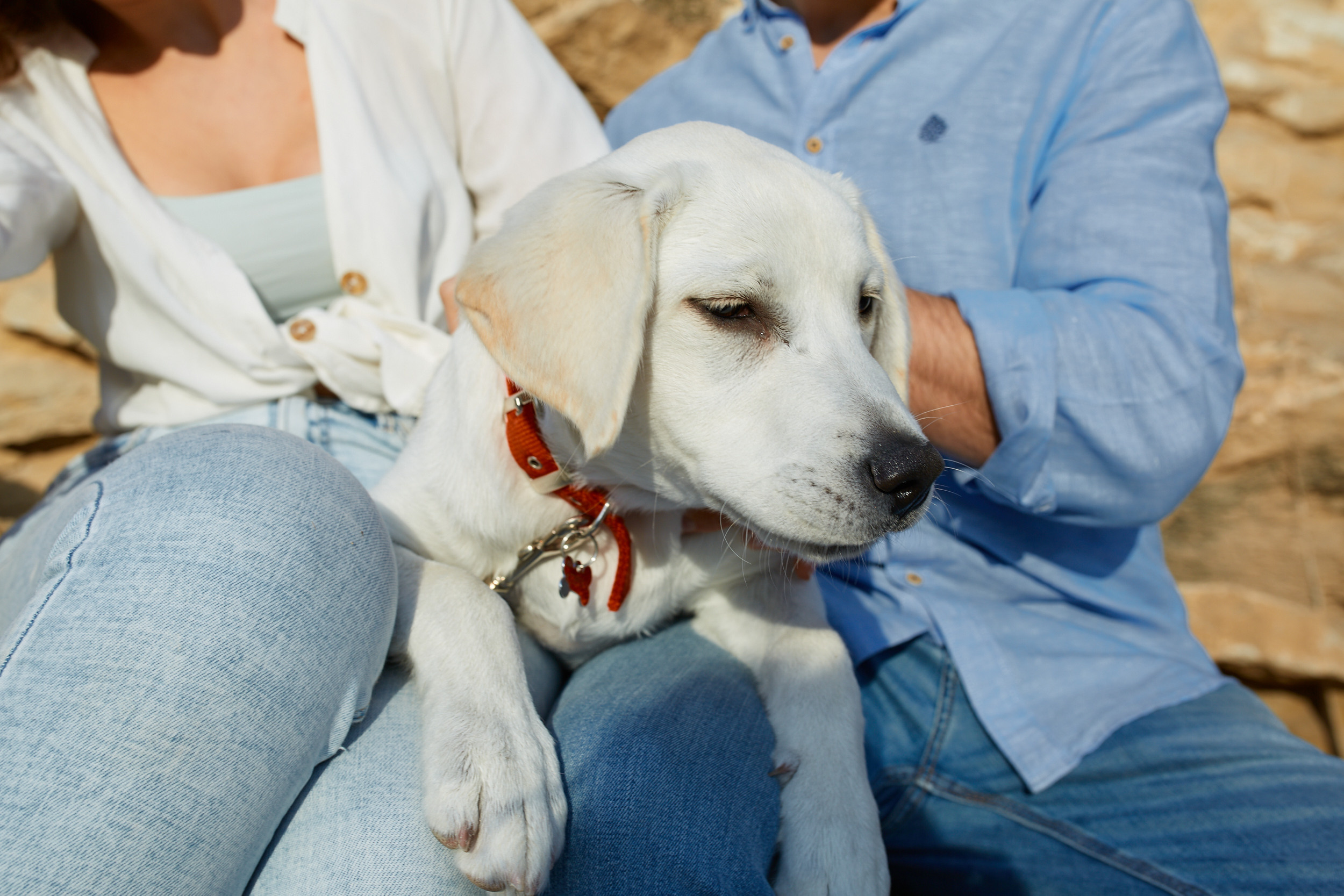 Vlada&Umberto. PÁGINA PRINCIPAL