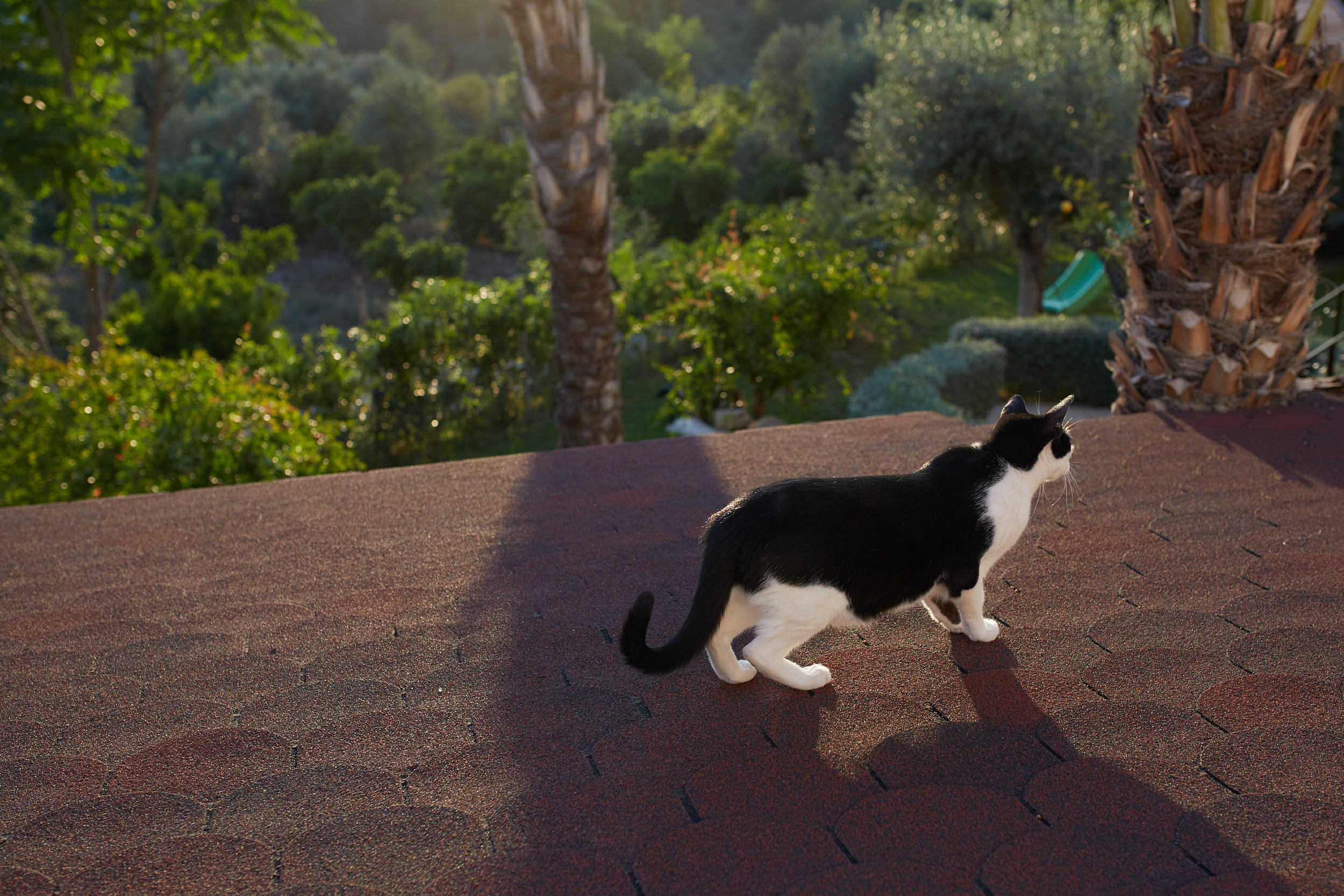 Yulia. ГЛАВНАЯ