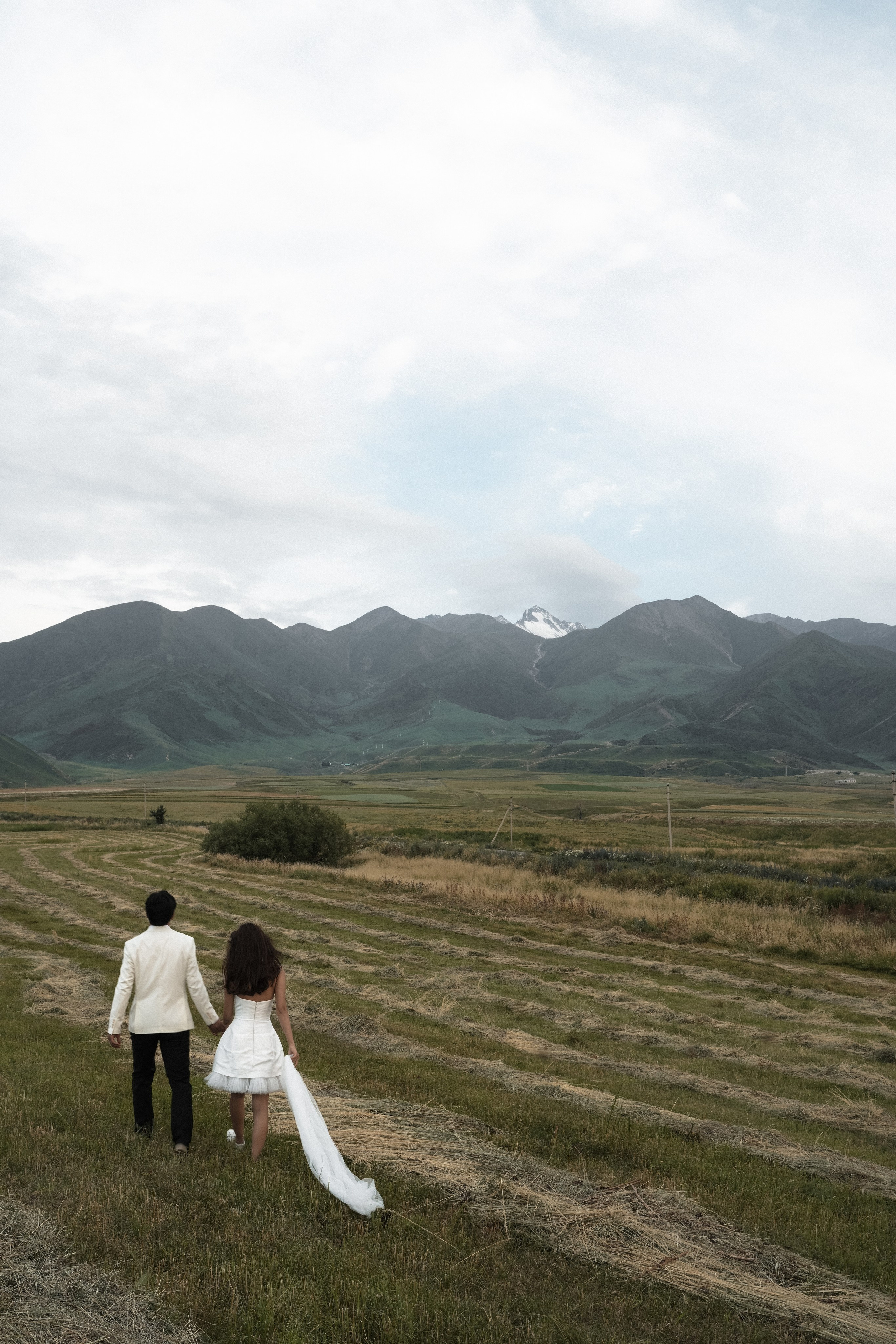 A & T. Sariev