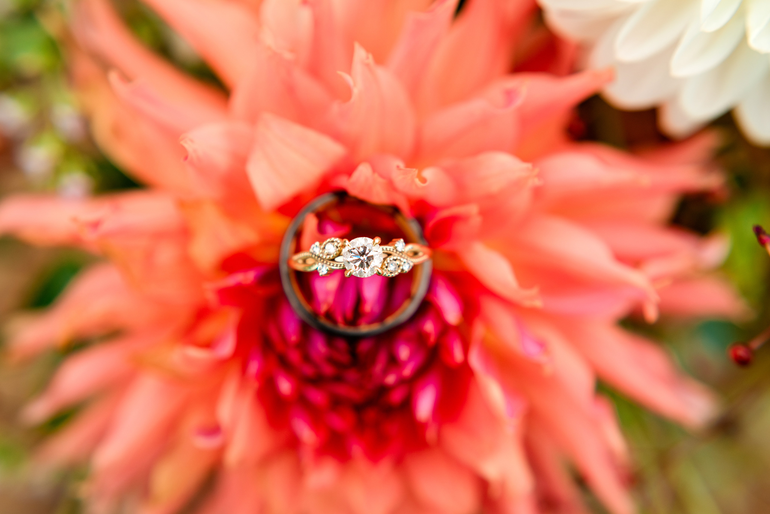 Vibrant Outdoor Wedding at Of The Land Events | Battle Creek Wedding Photographer. Alexandria Danielle Photography | Fort Wayne & Indianapolis Wedding Photographer