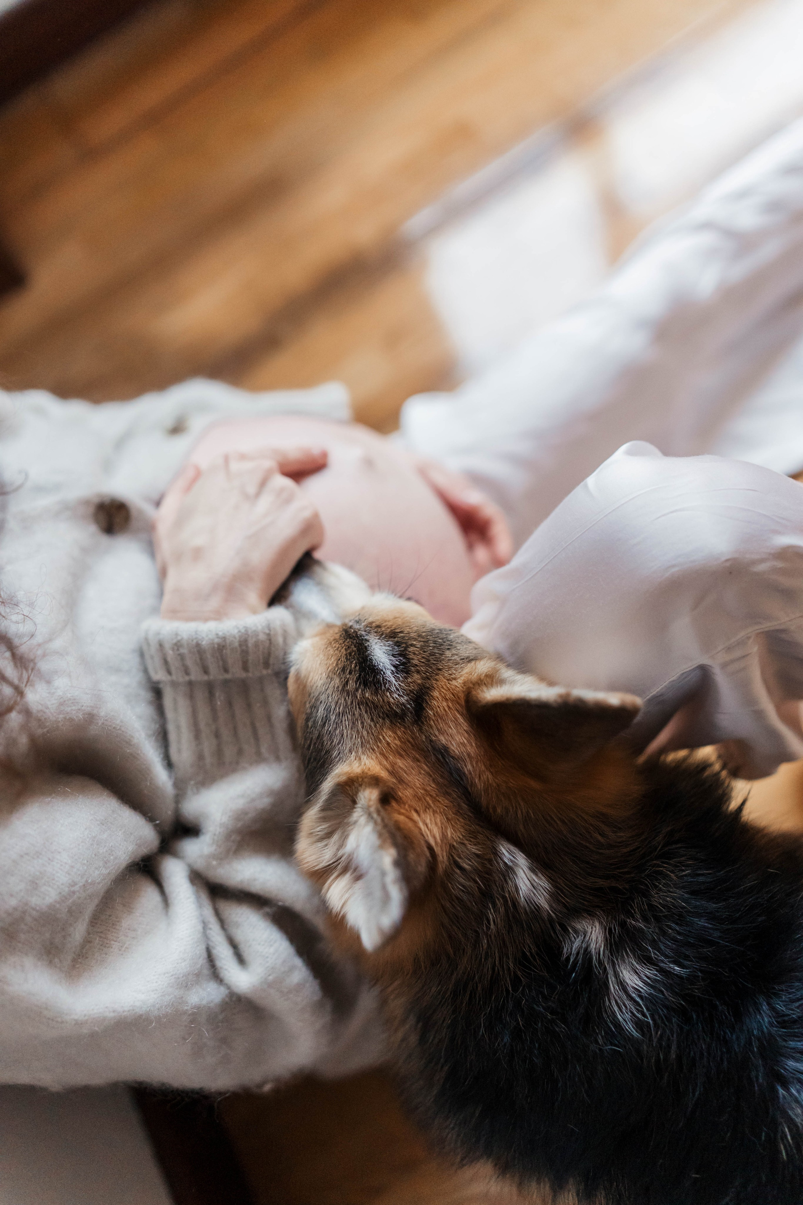 Рита и Саша +1. Family photographer in Oviedo — Yana Razina