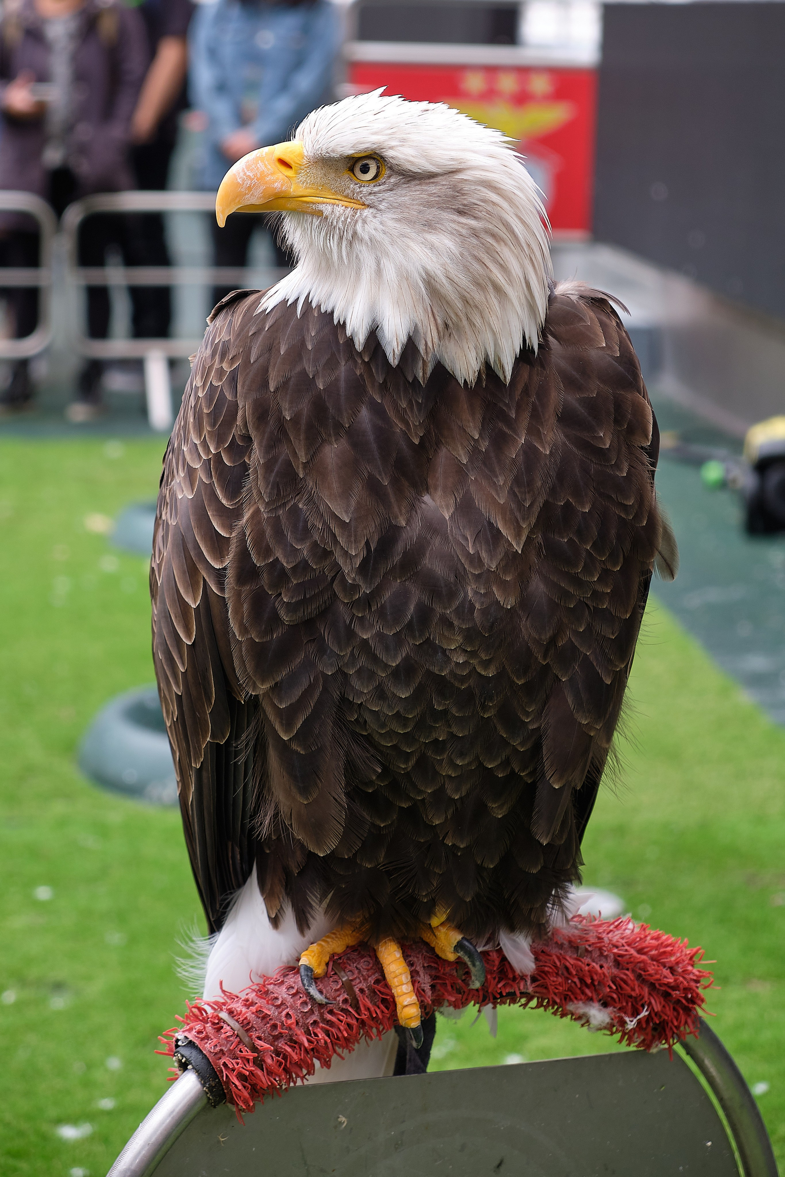 Lisabona, Portugalia. Pagina principală