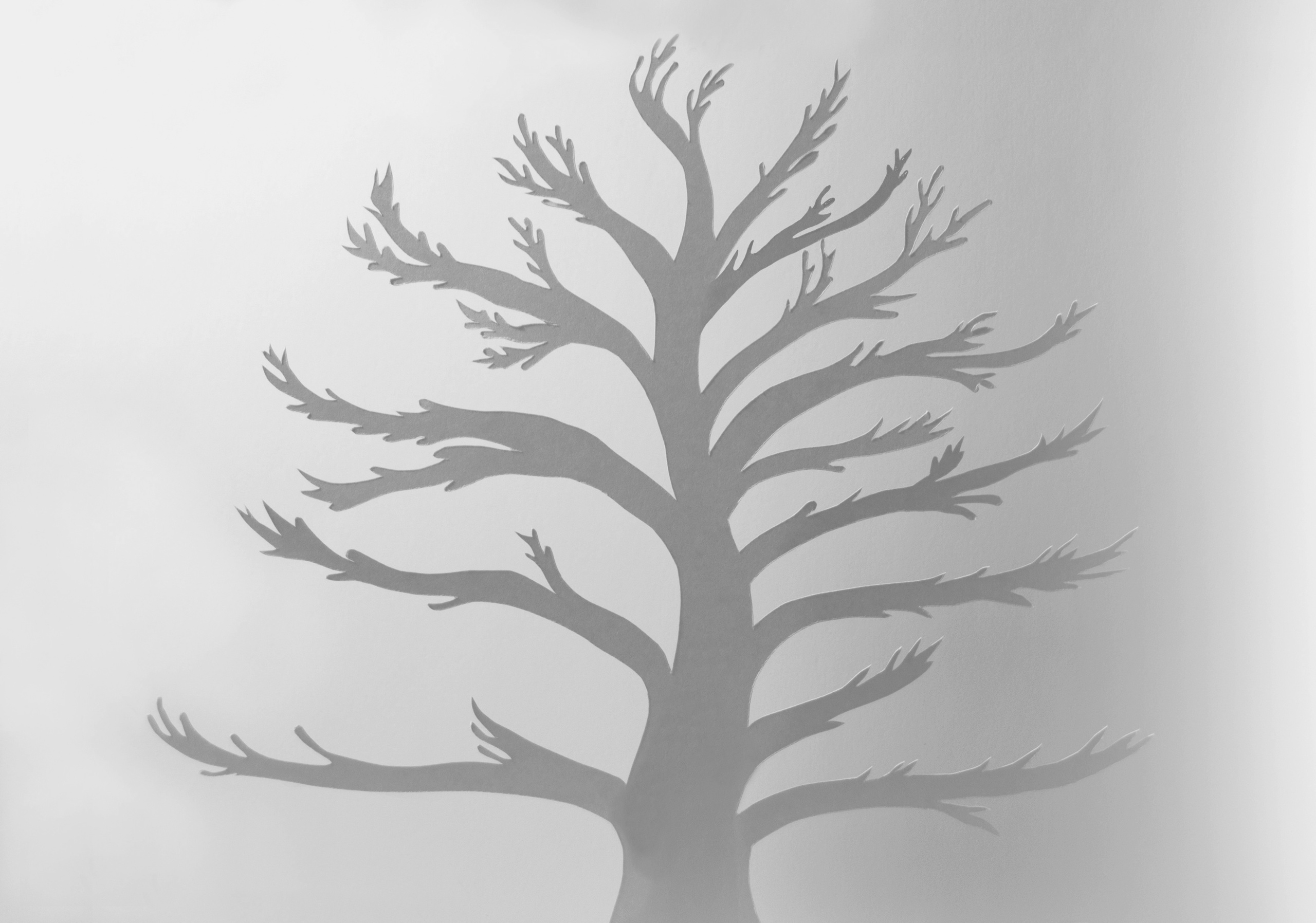 Illustrations for advertising Wushu Classes. Artist, photographer, graphic designer, dreamer